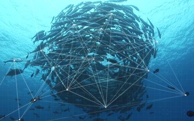 10027379_Daily-Maverick_400x250px