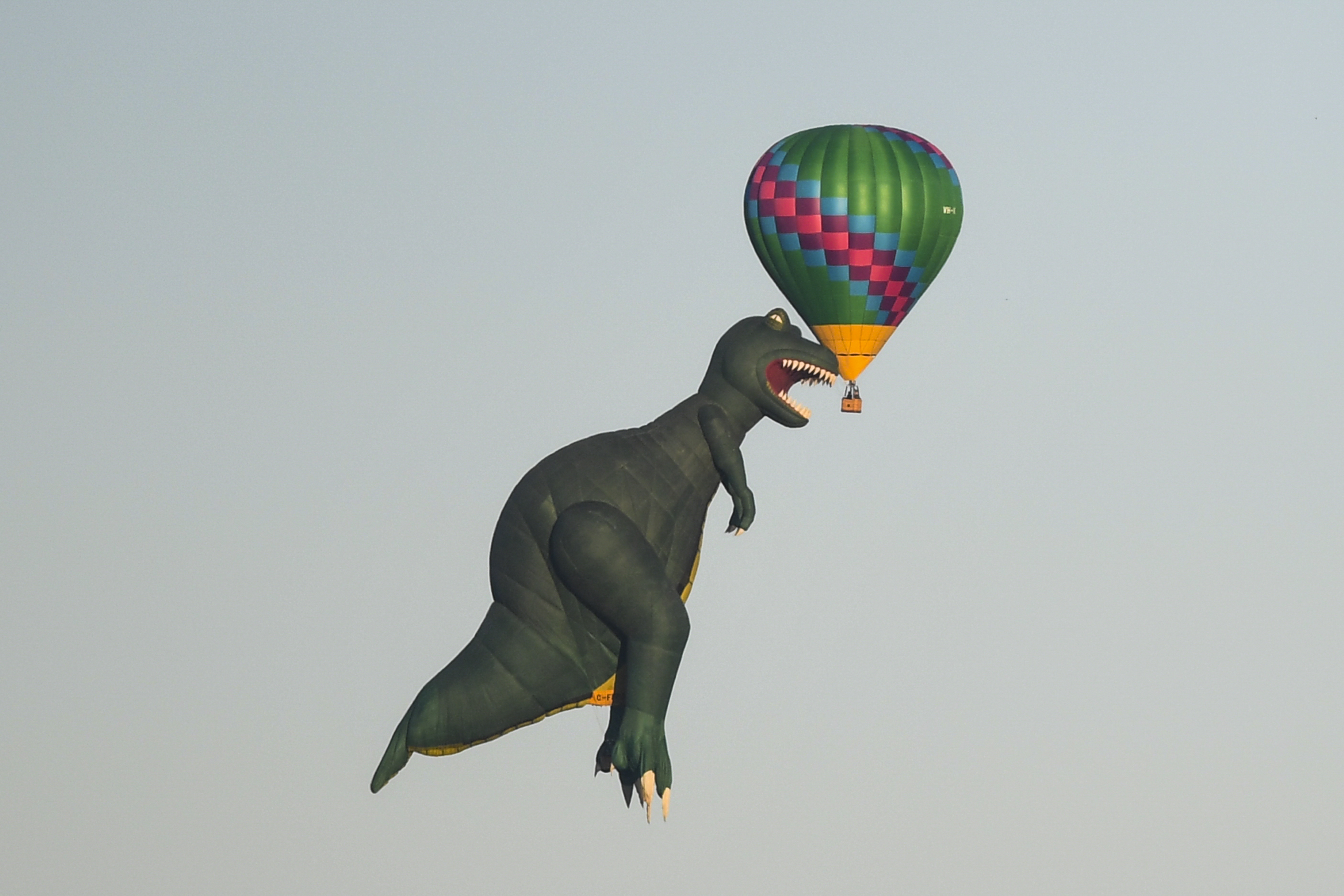 Canberra International Balloon Festival