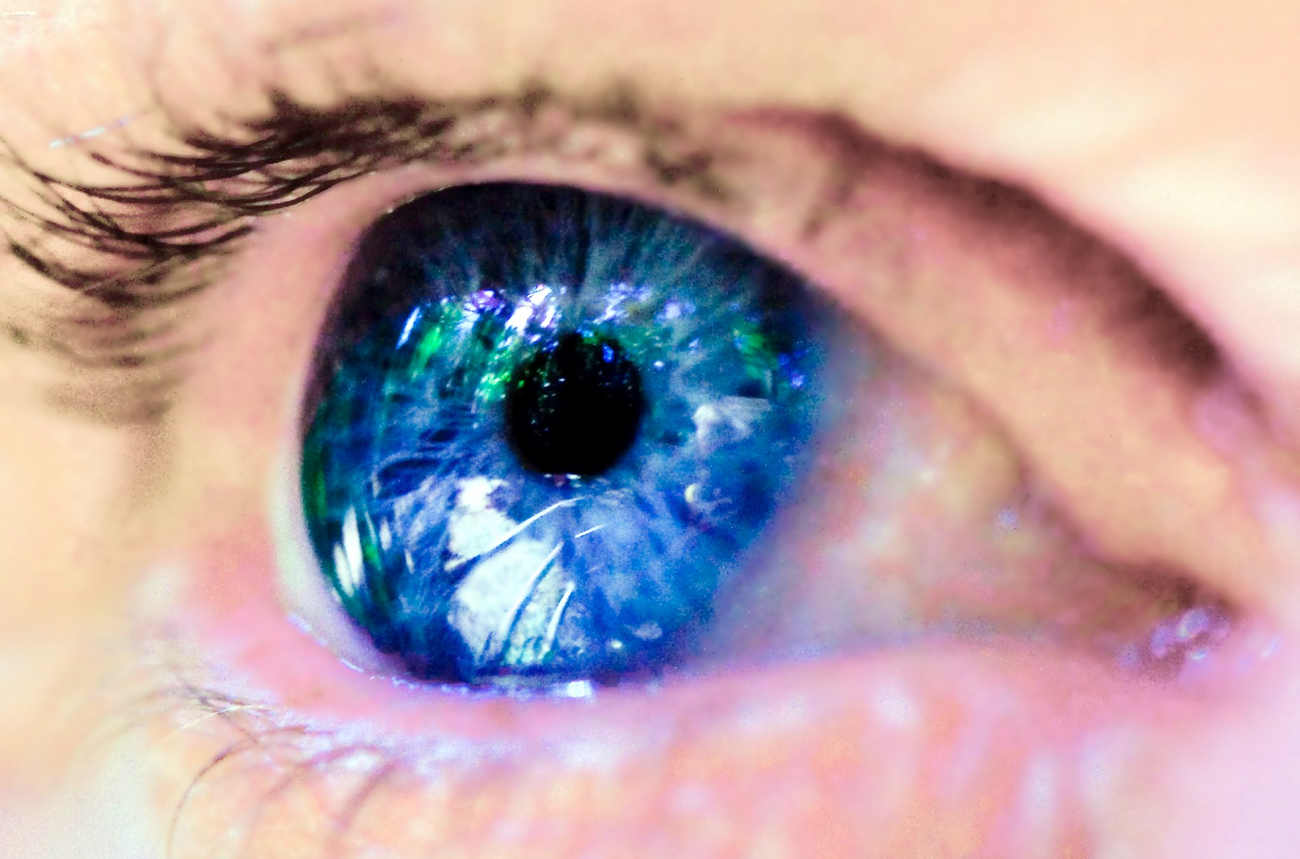 US war on terror: the next security threat could be the boy, or girl, next door