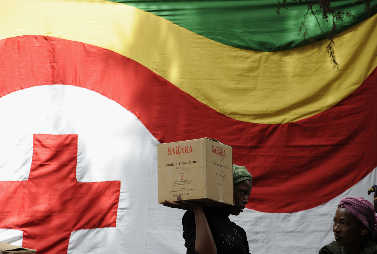 How NGOs write the world