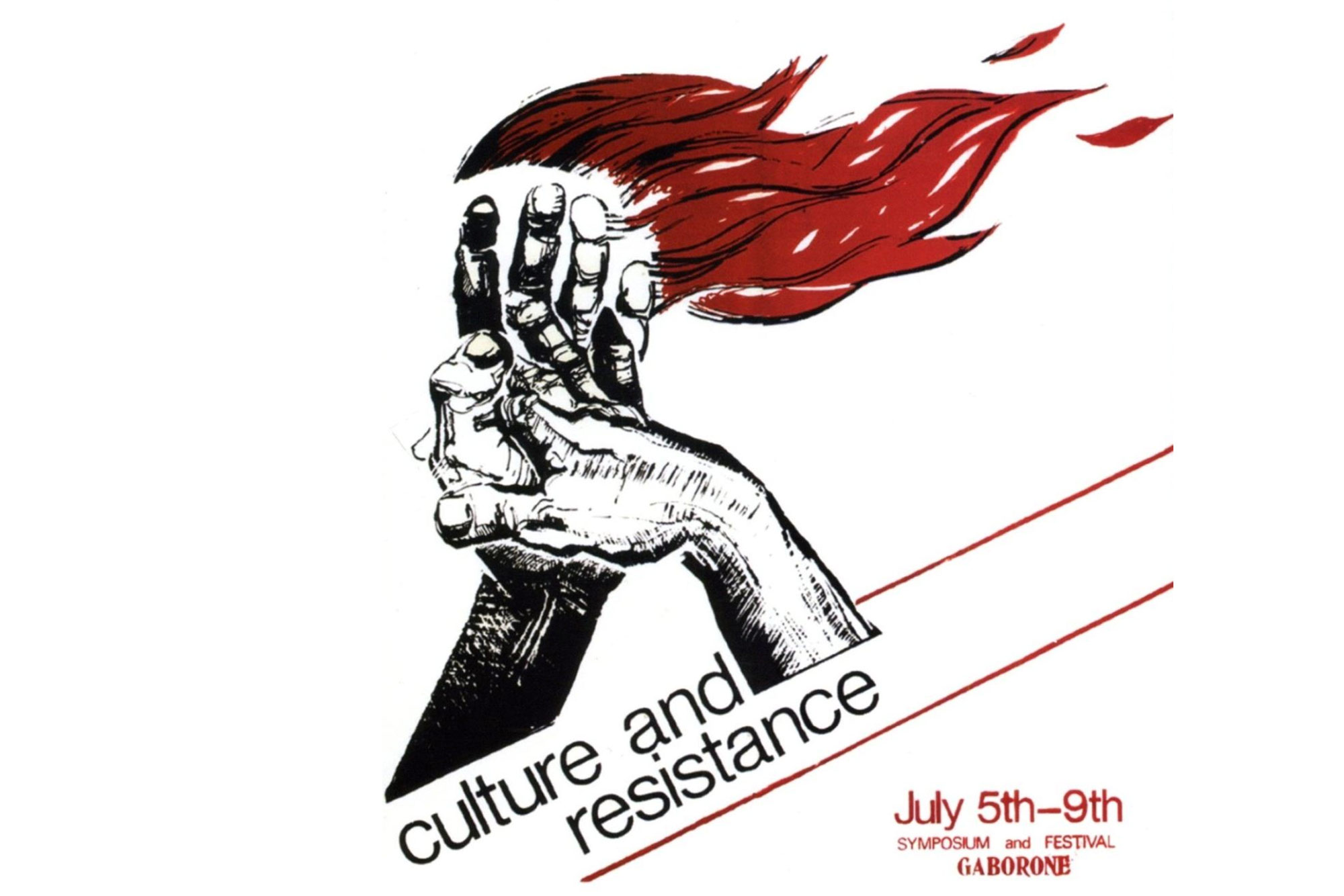 The anti-apartheid posters of Medu