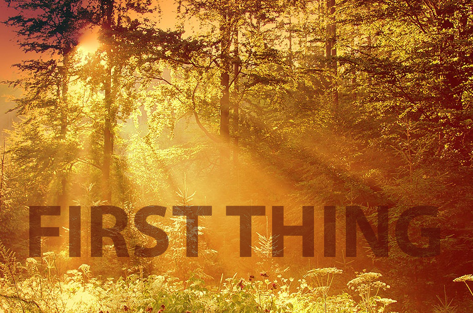 First Thing - Friday 29 July