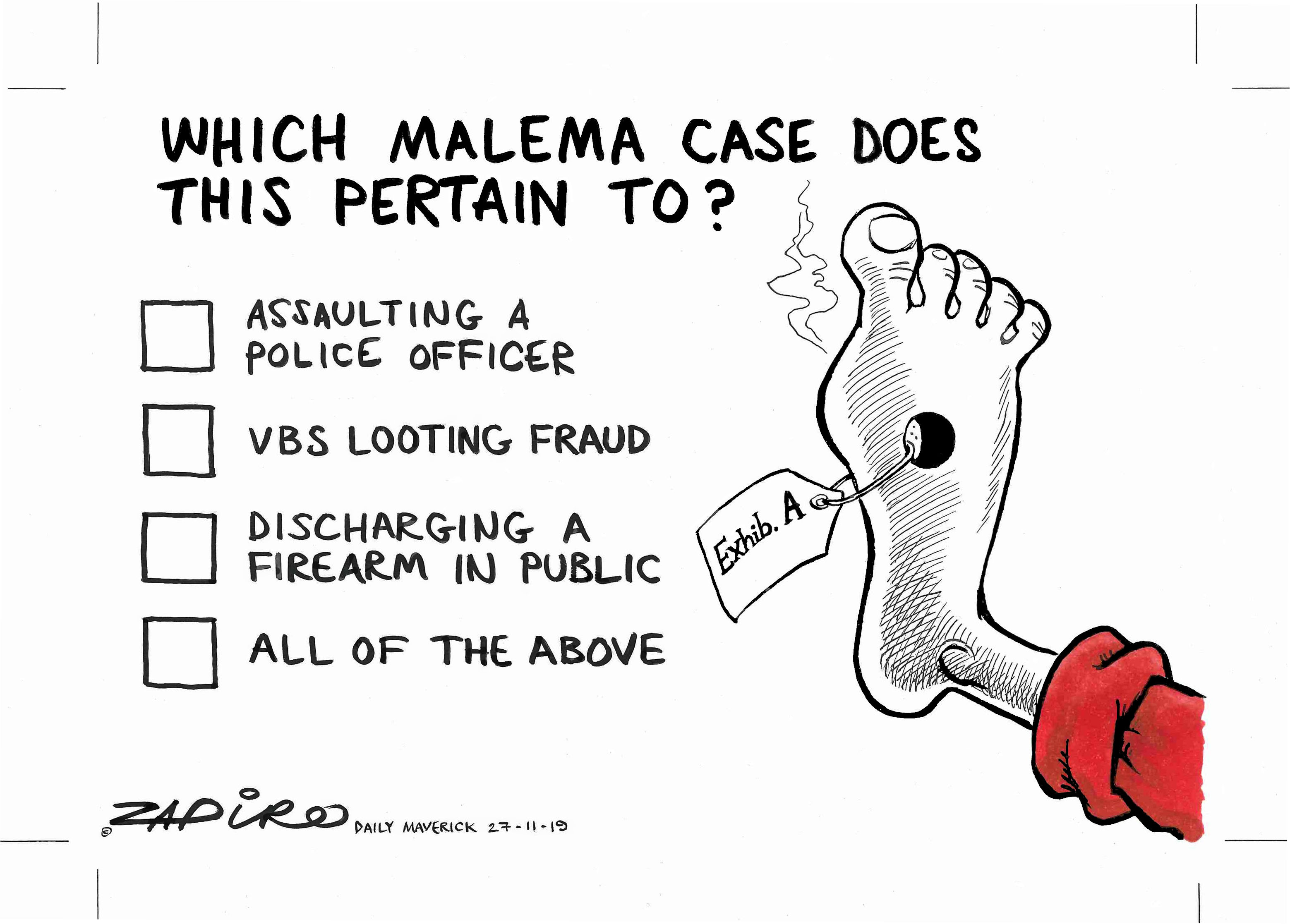 Malema Case