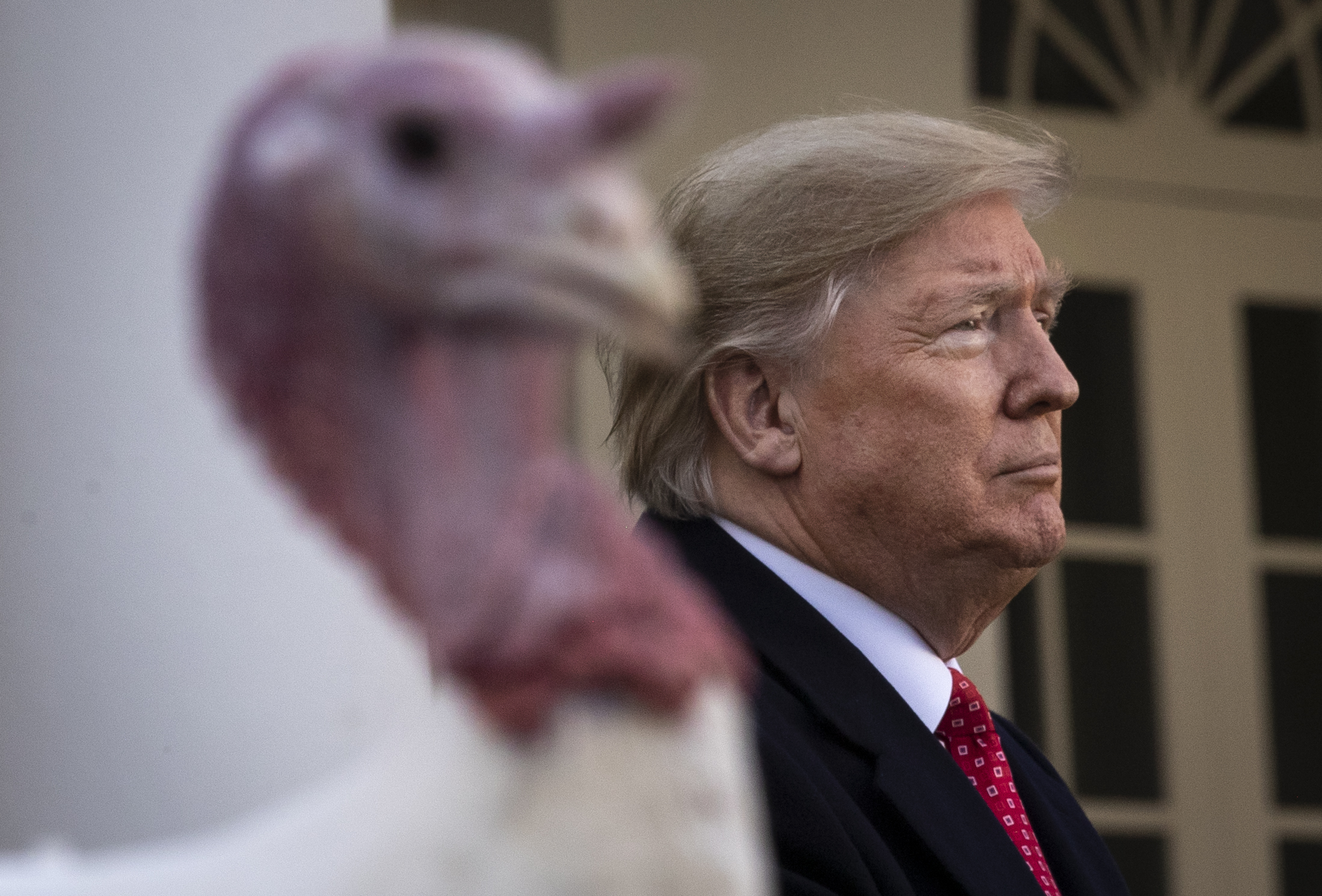 President Trump Pardons National Thanksgiving Turkey