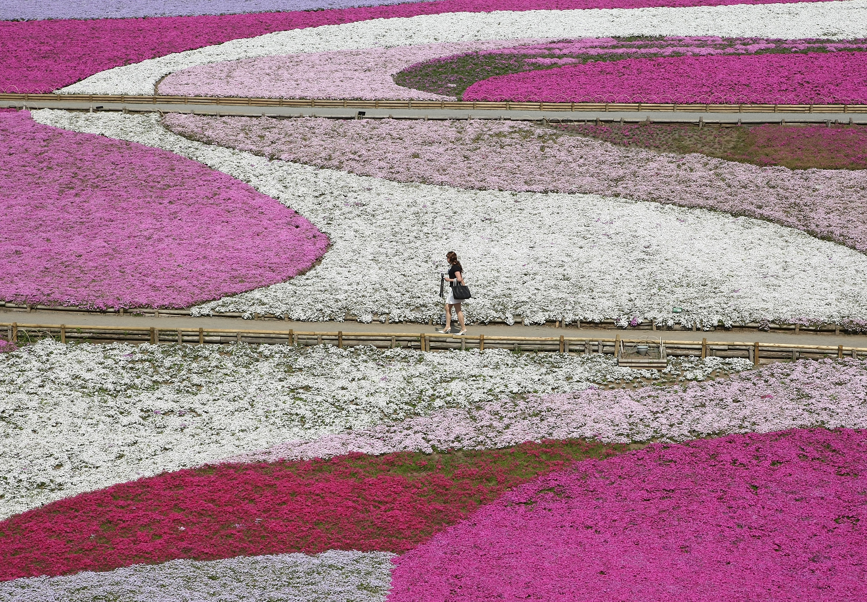 In pictures – Lonesome landscapes