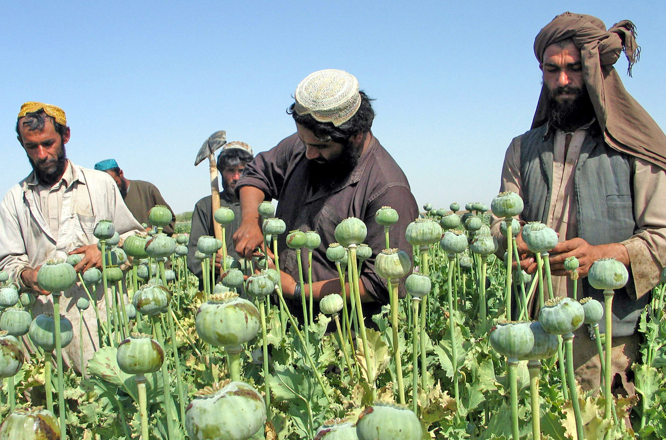 How American junkies fund the Taliban (and other stories from the other side of the war on terror)