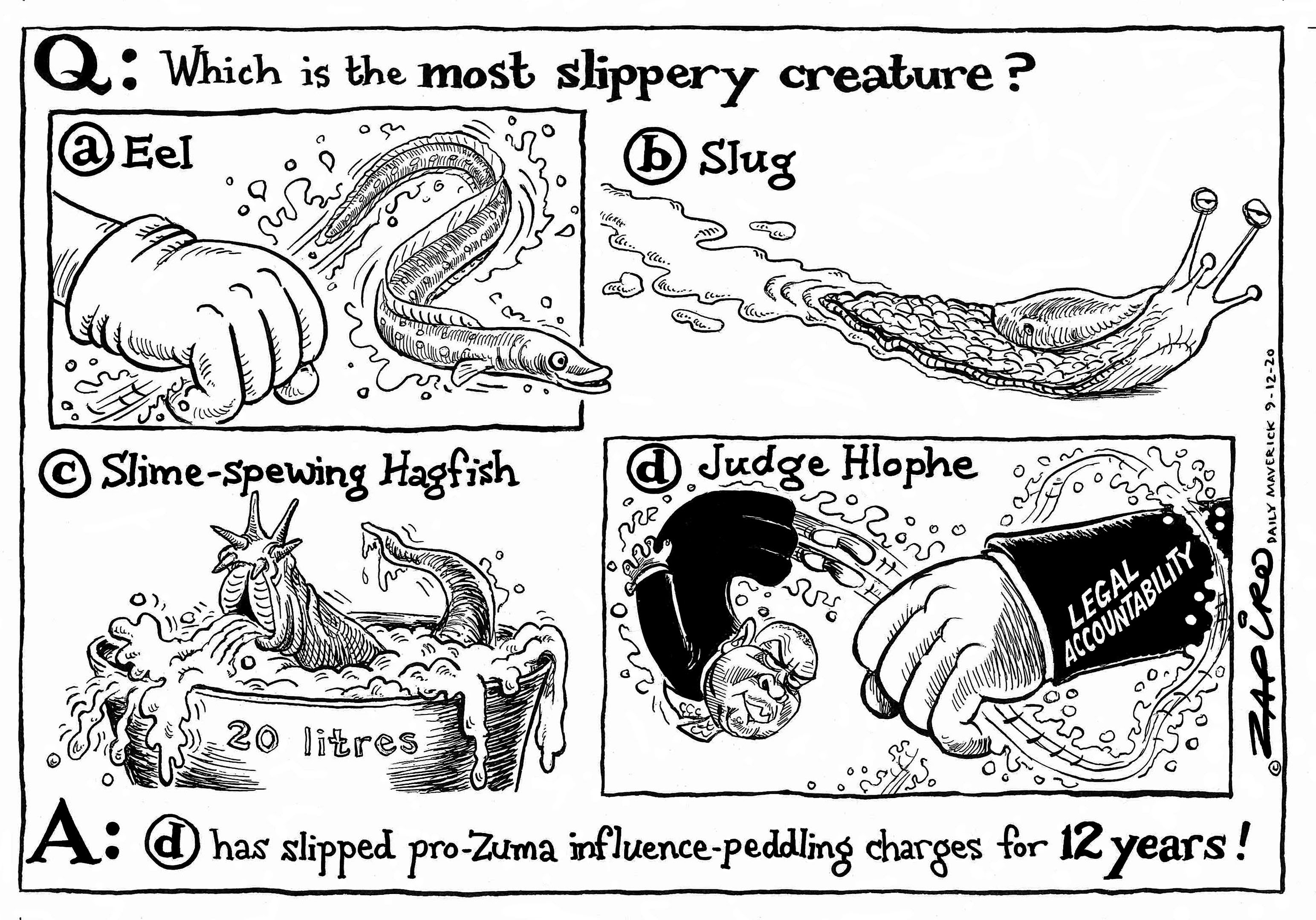 The Slip