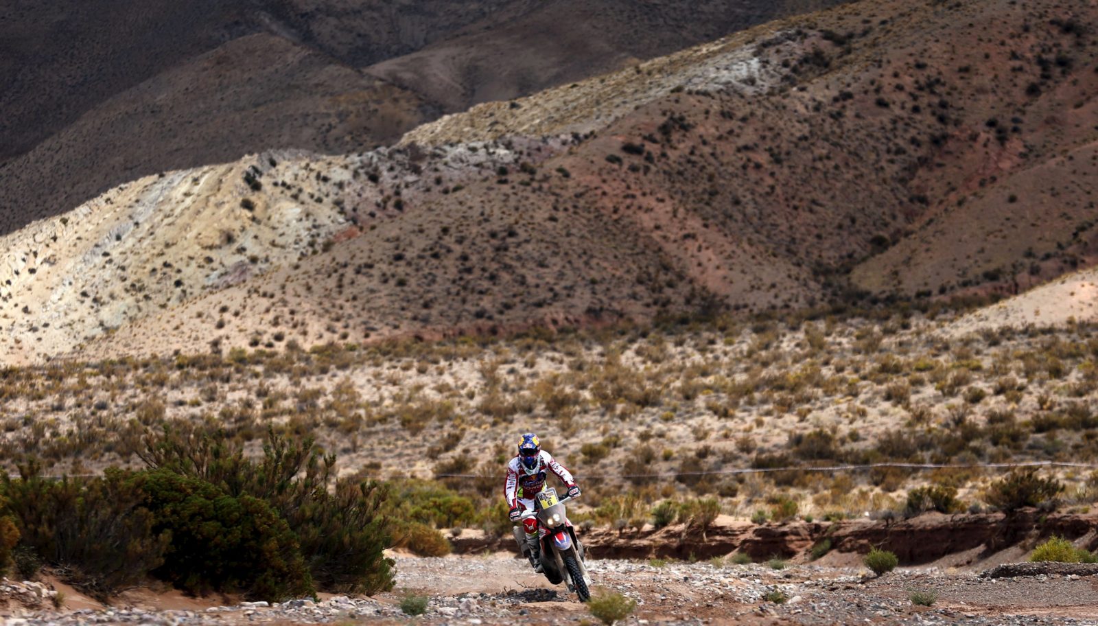 While you were sleeping: 8 January 2016