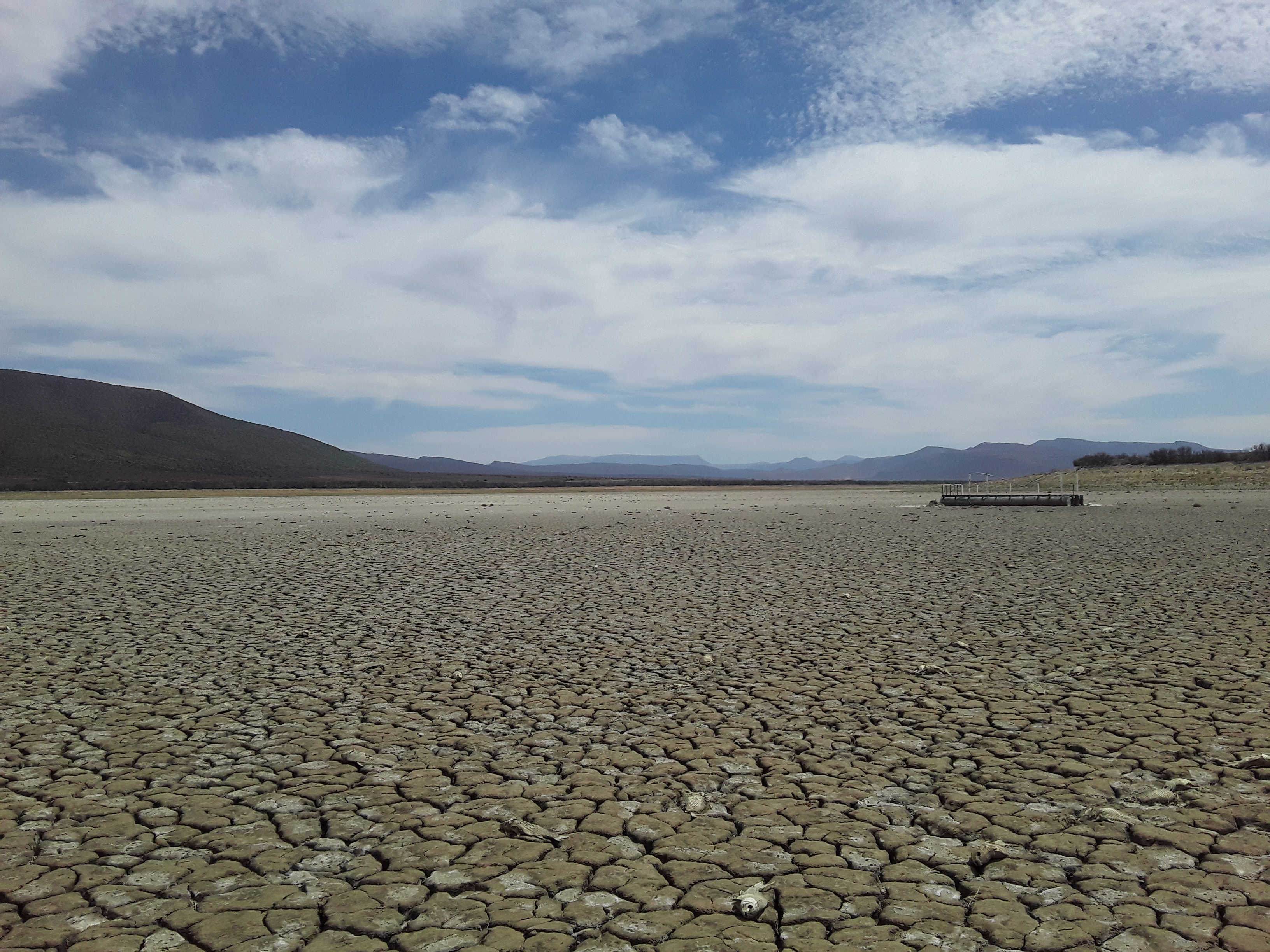 Eastern Cape: 'The worst drought in a thousand years'