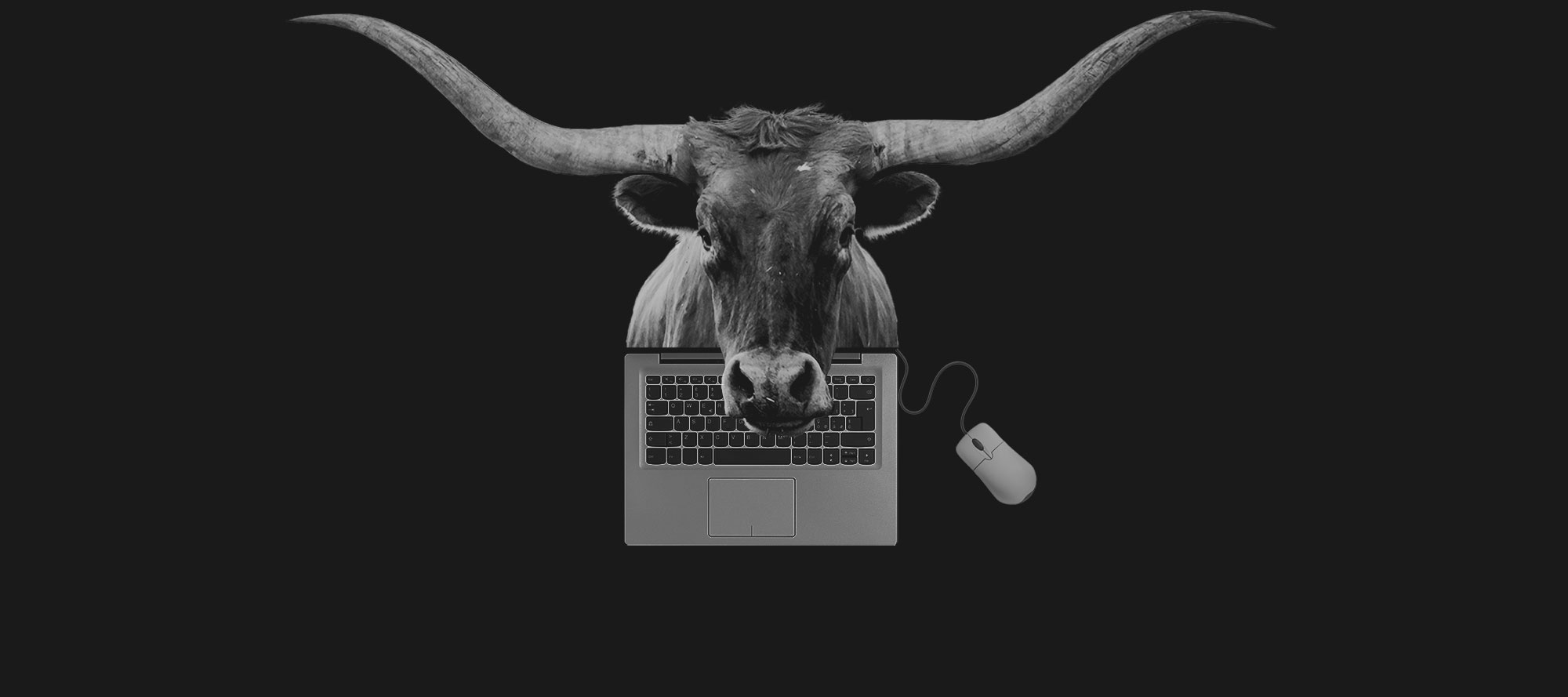 Cash cows and computers – Ace Magashule's laptop deals with Guptas' Vrede dairy man; Joemat-Pettersson's Saxonwold meetings