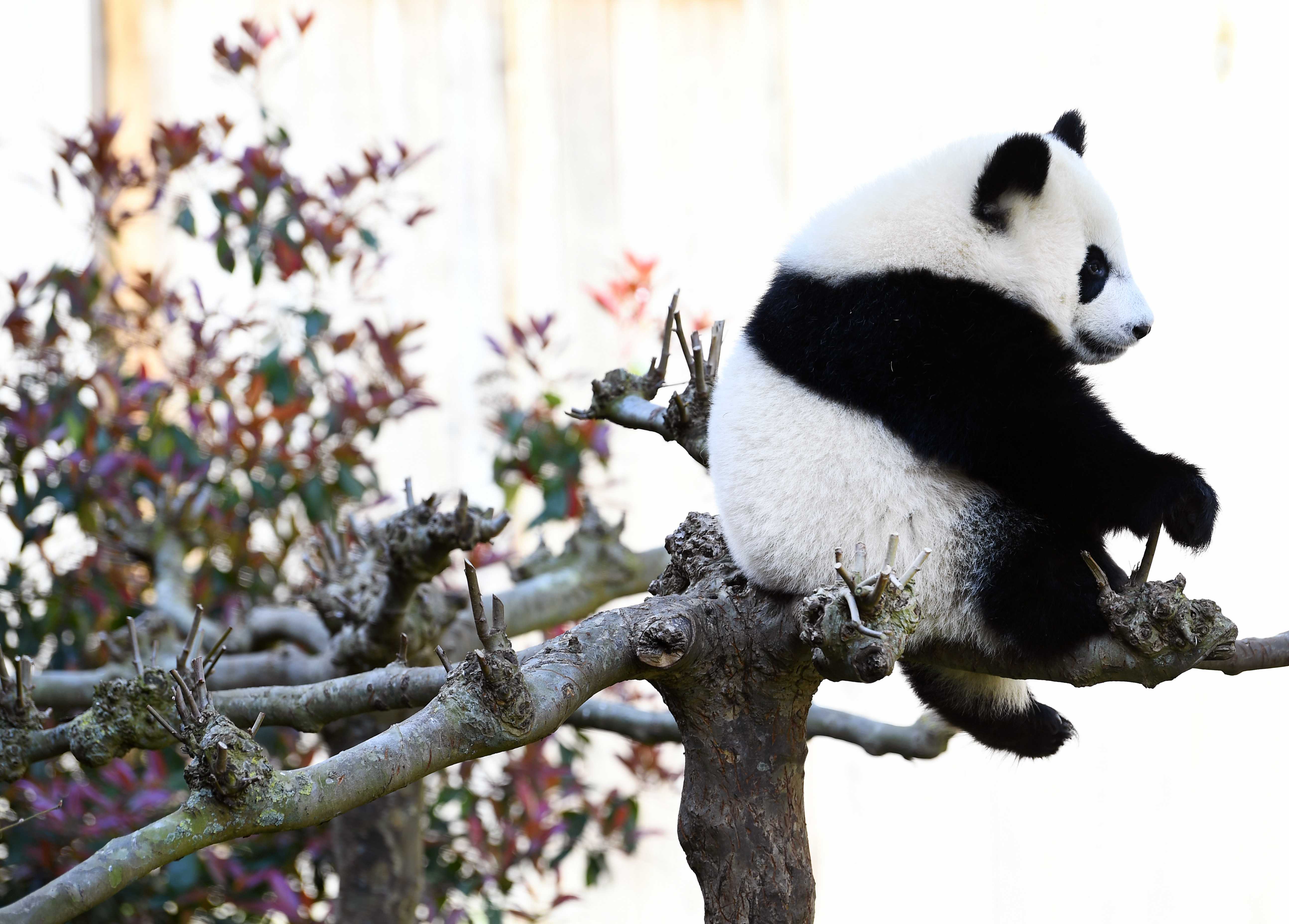 Our World in Pictures: Week 18 of 2021