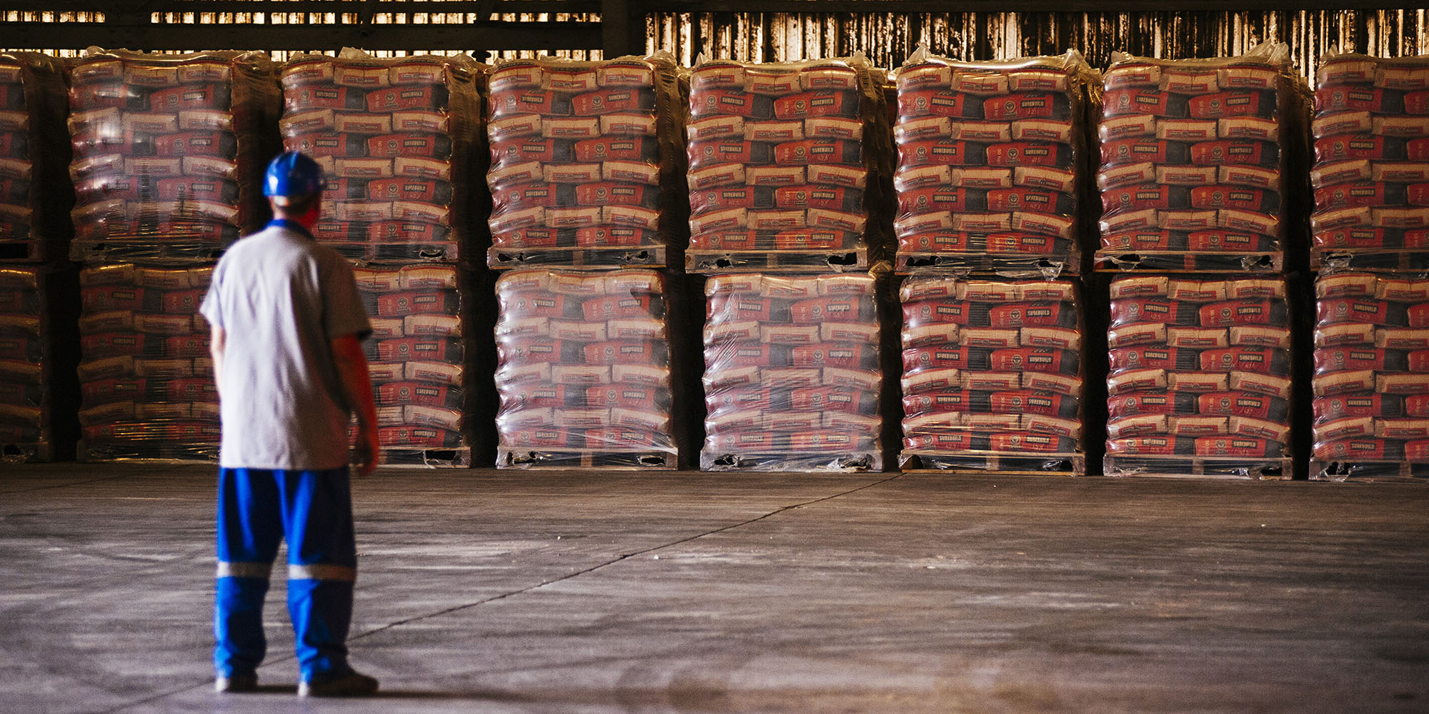 The Finance Ghost: Good growth for Remgro and Stor-Age, infrastructure frustrations for PPC