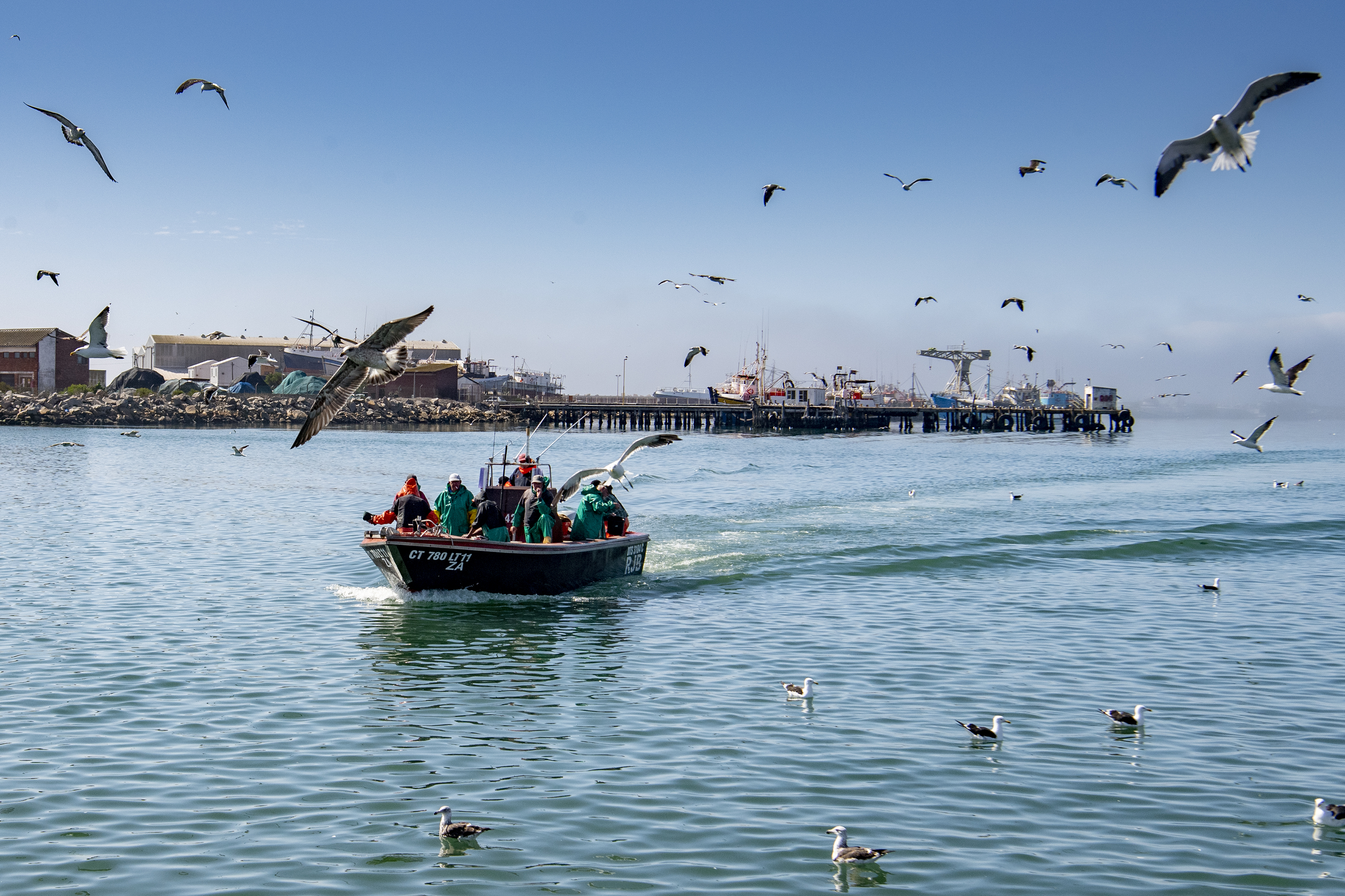 Seaspiracy and the environmental impact of fishing