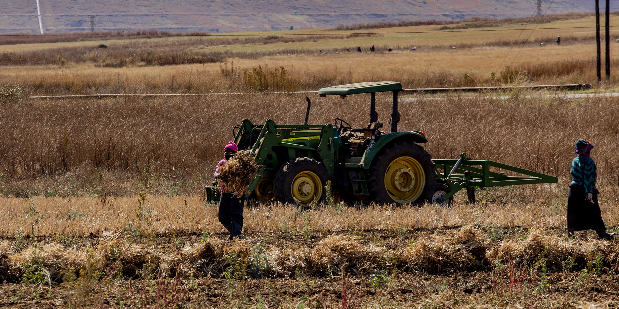 We need a new political economy of land reform, not farms without farmers and farmers without farms