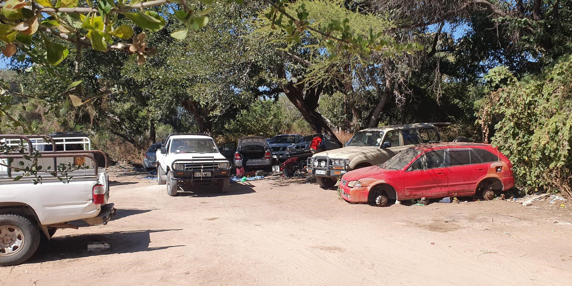 The name is Banks, Banks Banks — finding agent of mercy on the banks of the Okavango