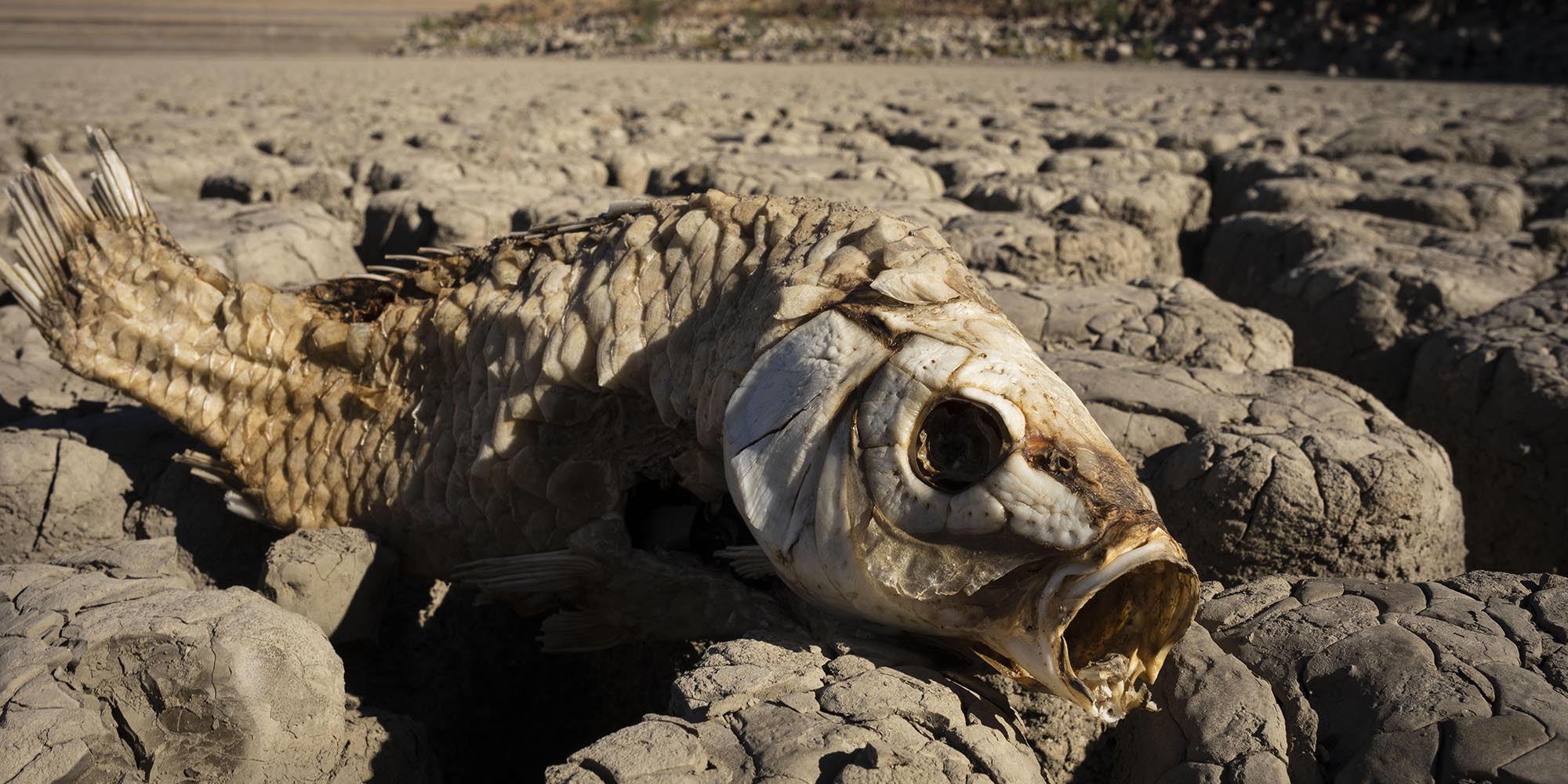 Southern Africa is in the climate crisis firing line — we need urgent climate justice strategies