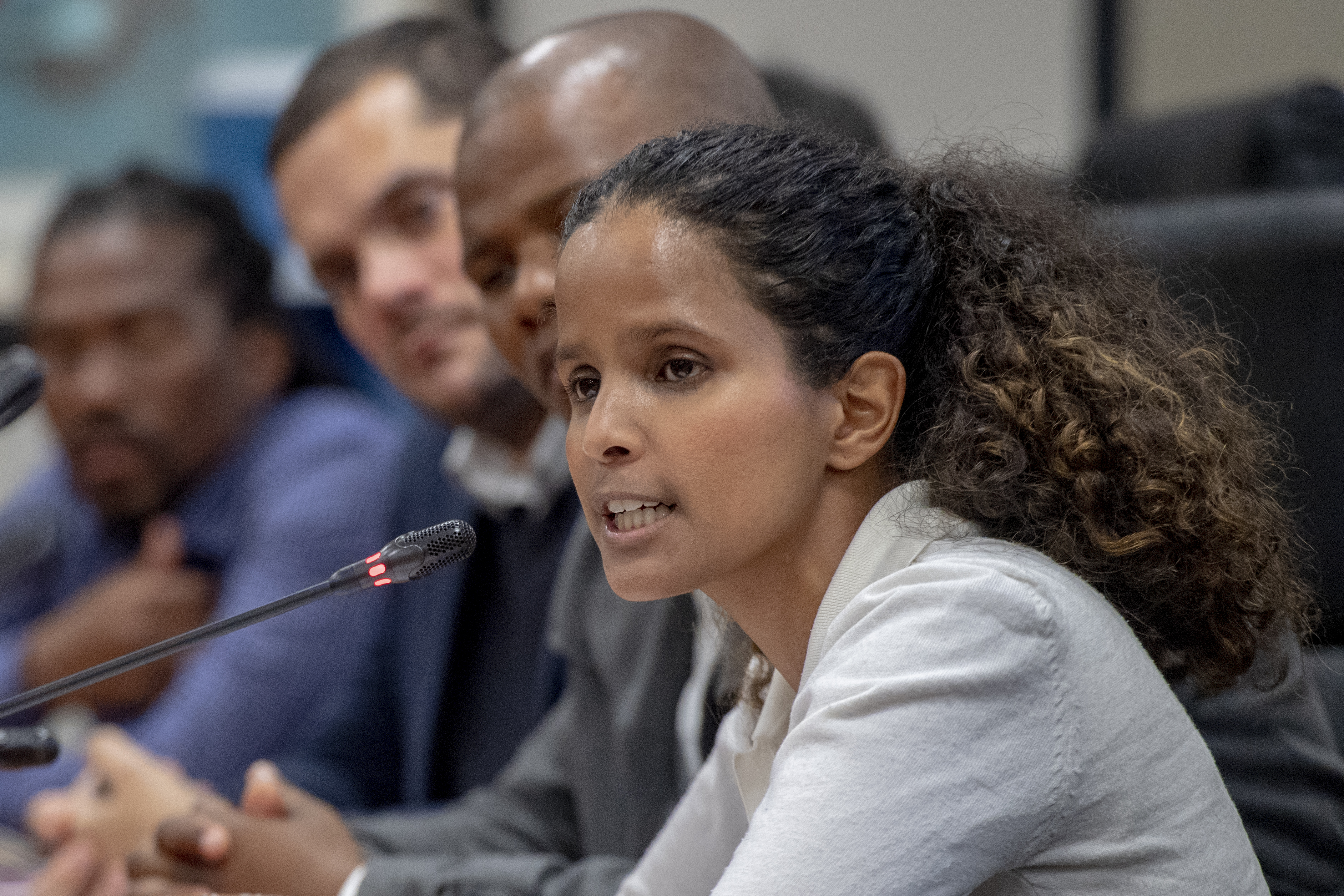 DA to carry out full audit on party members’ qualifications