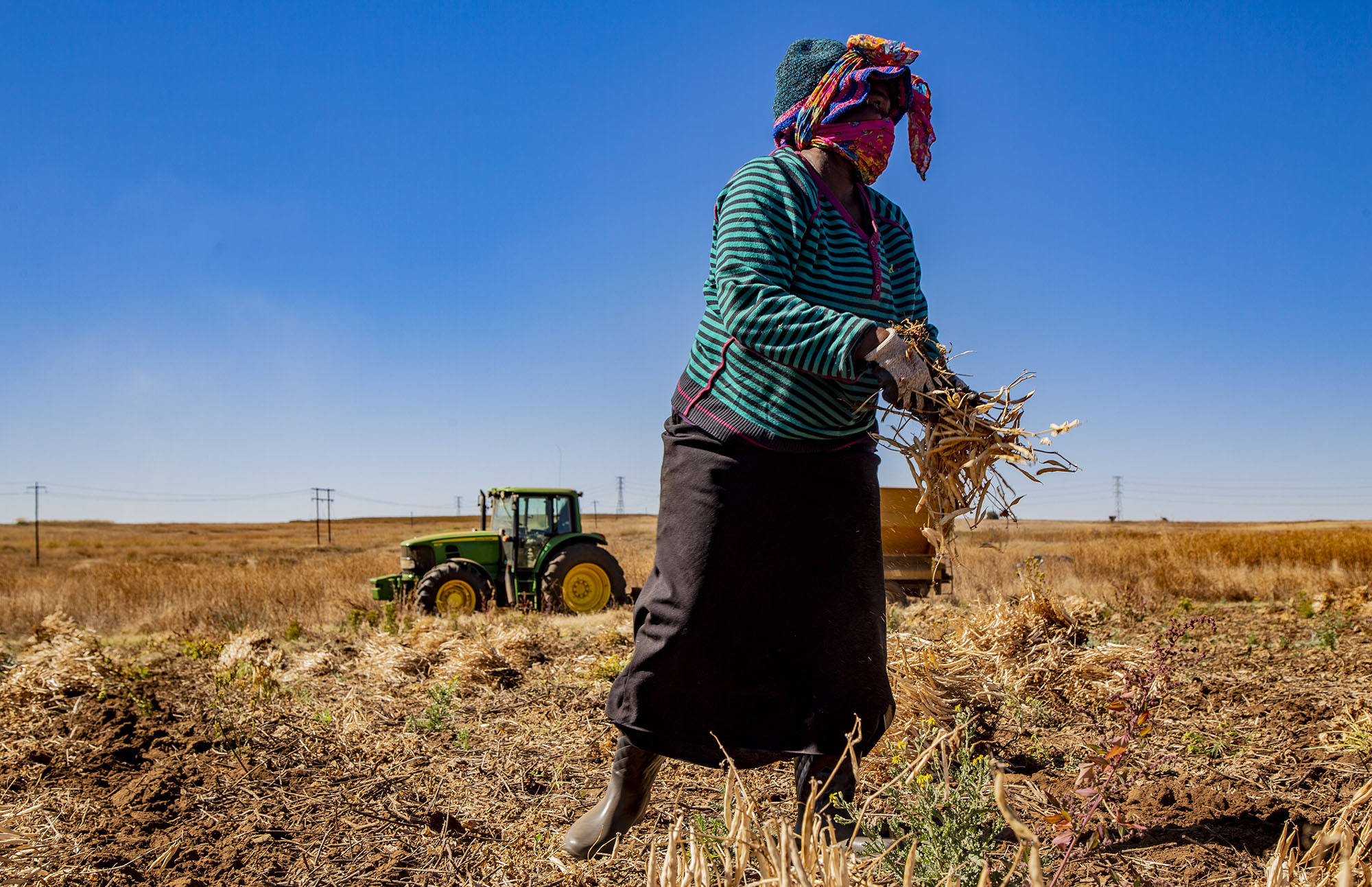 Farmworker transport: Nobody should go to work fearing for their life, industry stakeholders agree