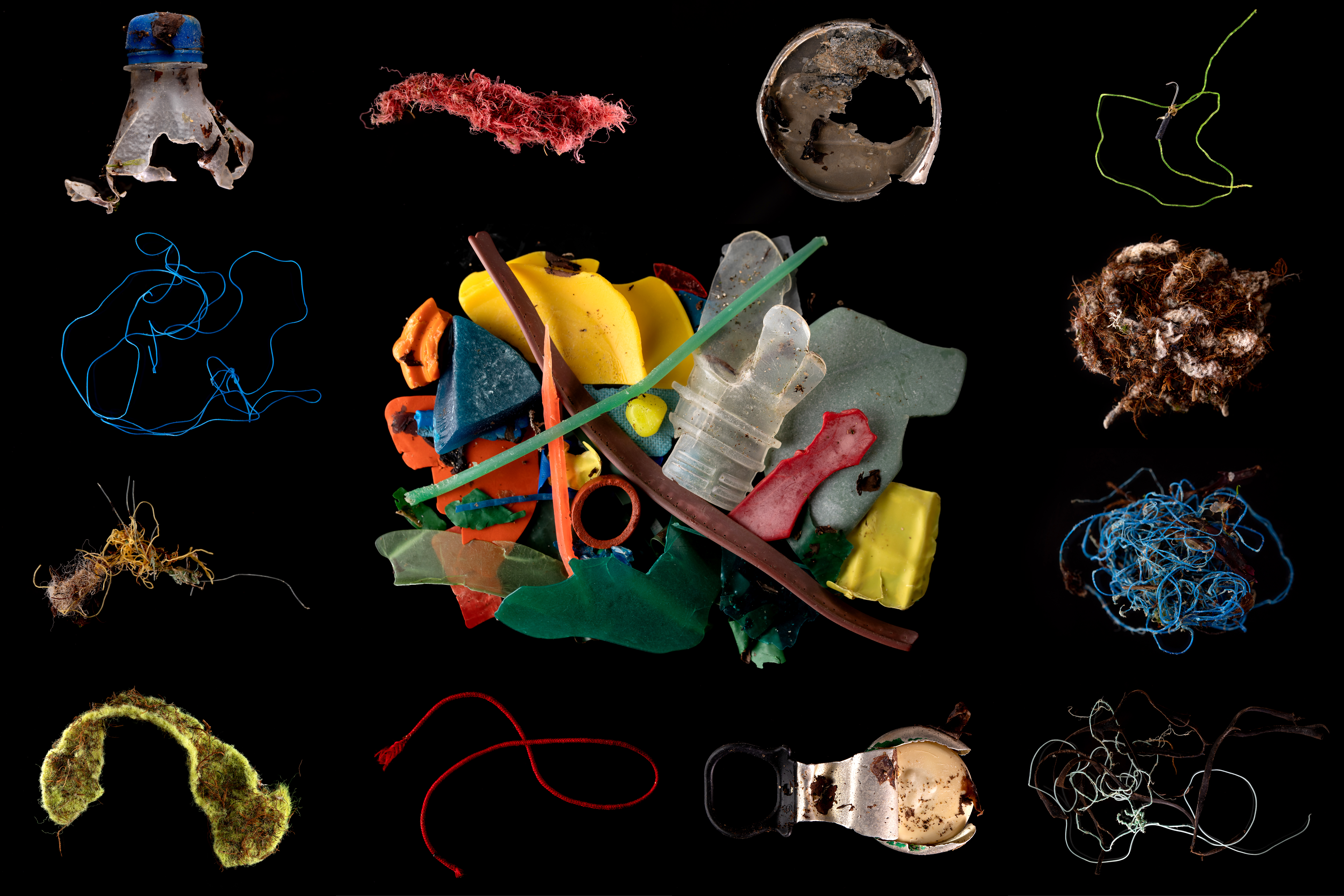 Defenders of the deep: protecting our oceans