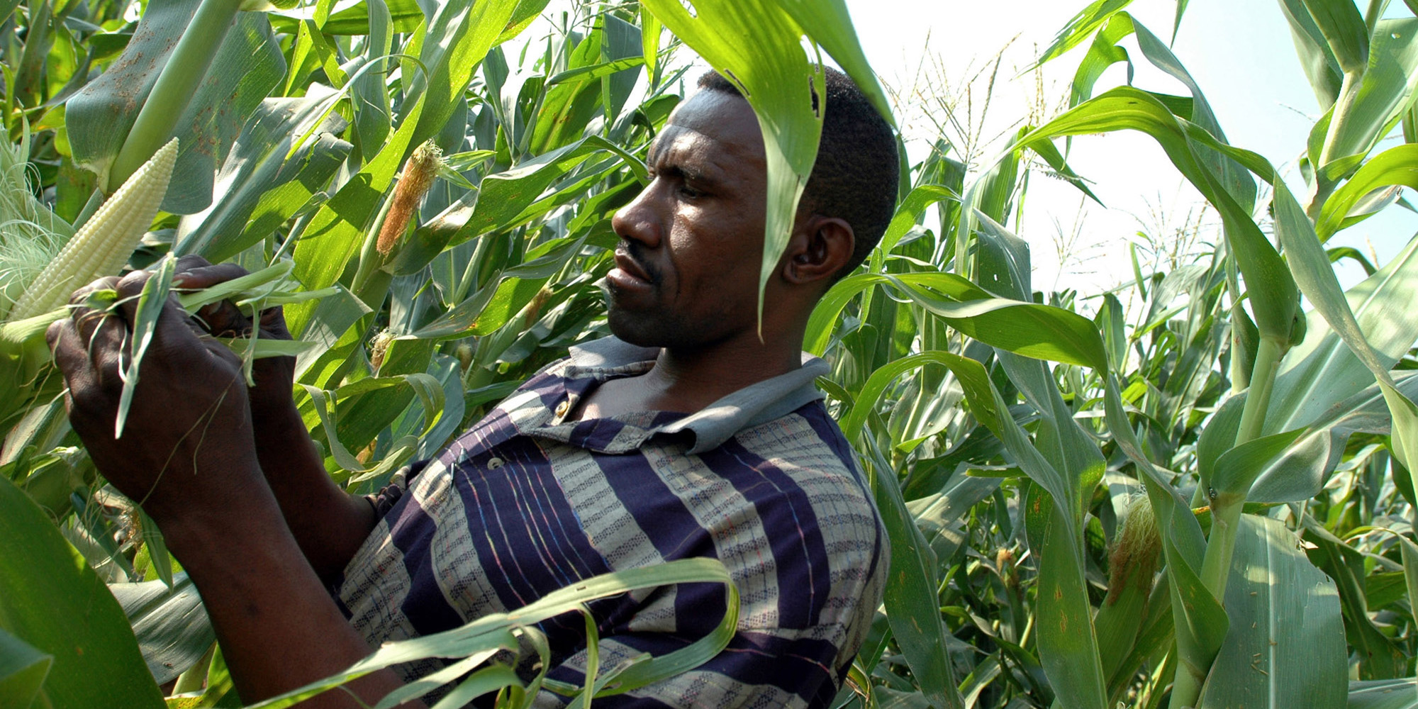 Southern Africa looks set to dodge latest El Niño bullet