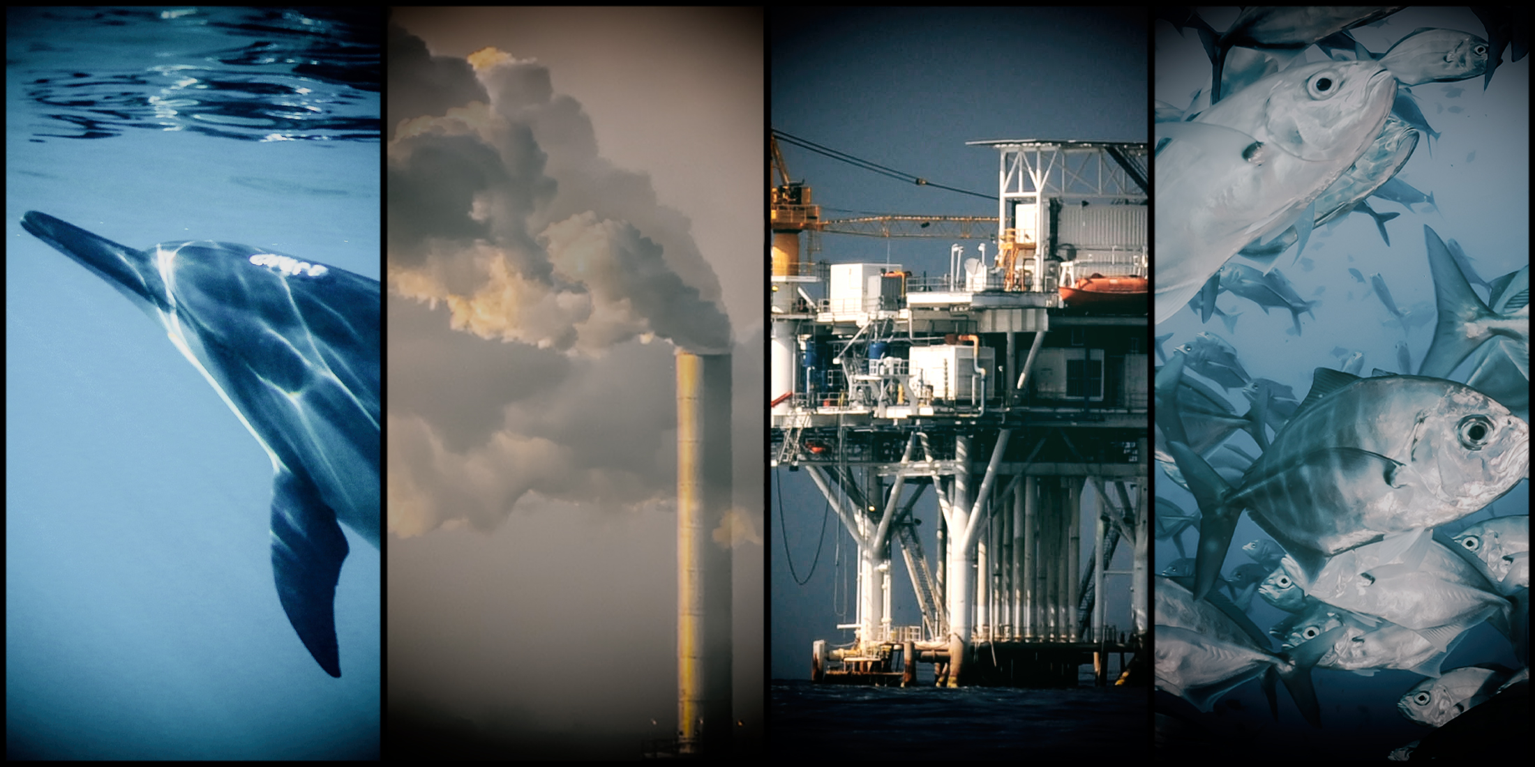 KZN’s marine treasures: Sasol Offshore oil drilling sustains a major legal broadside