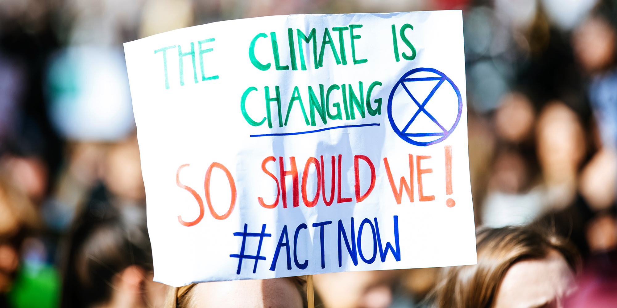 World Environment Day: Judicial number-crunching needed to avert the climate crunch