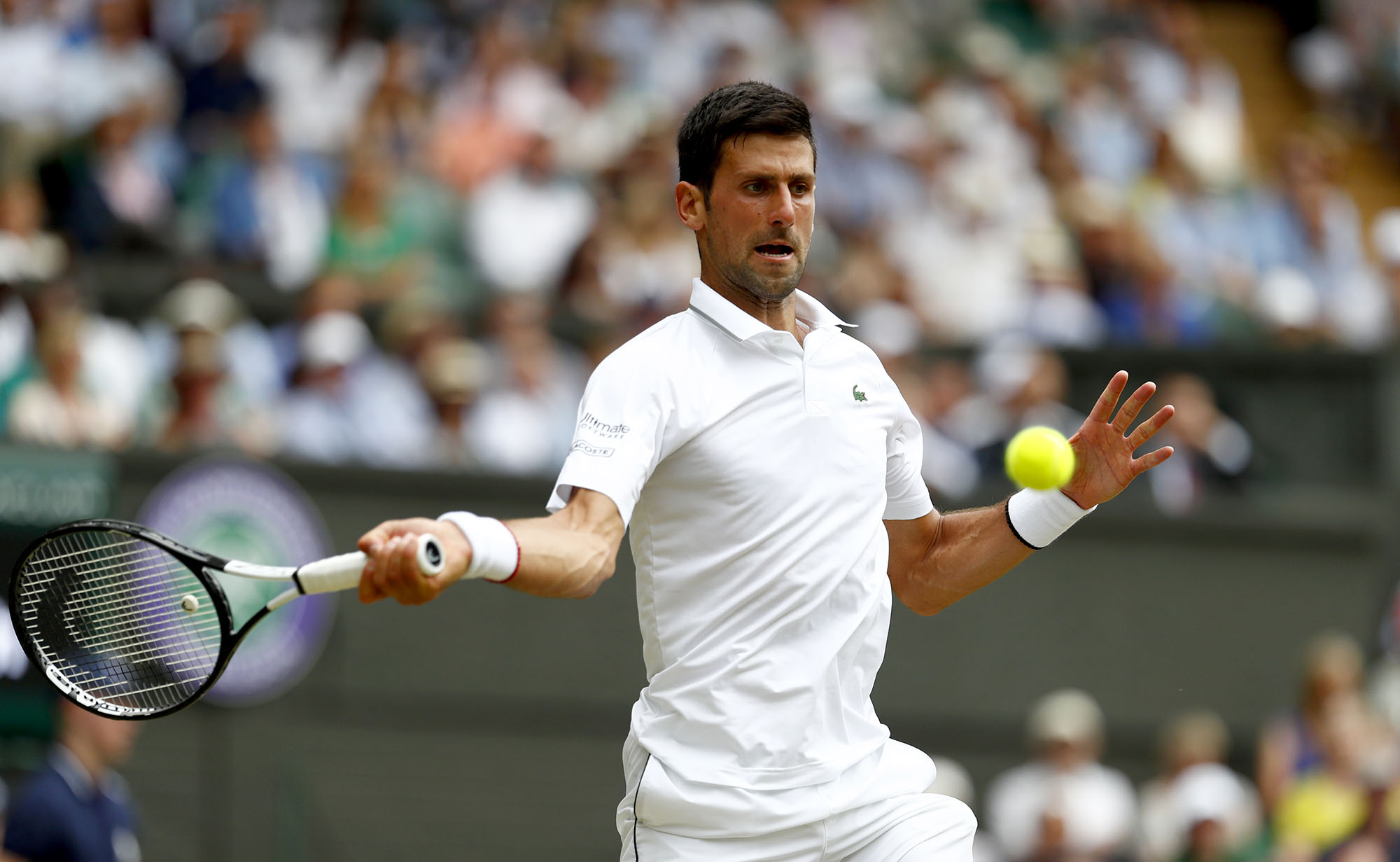 Djokovic stays on track for rare Grand Slam season in a Wimbledon without major stars