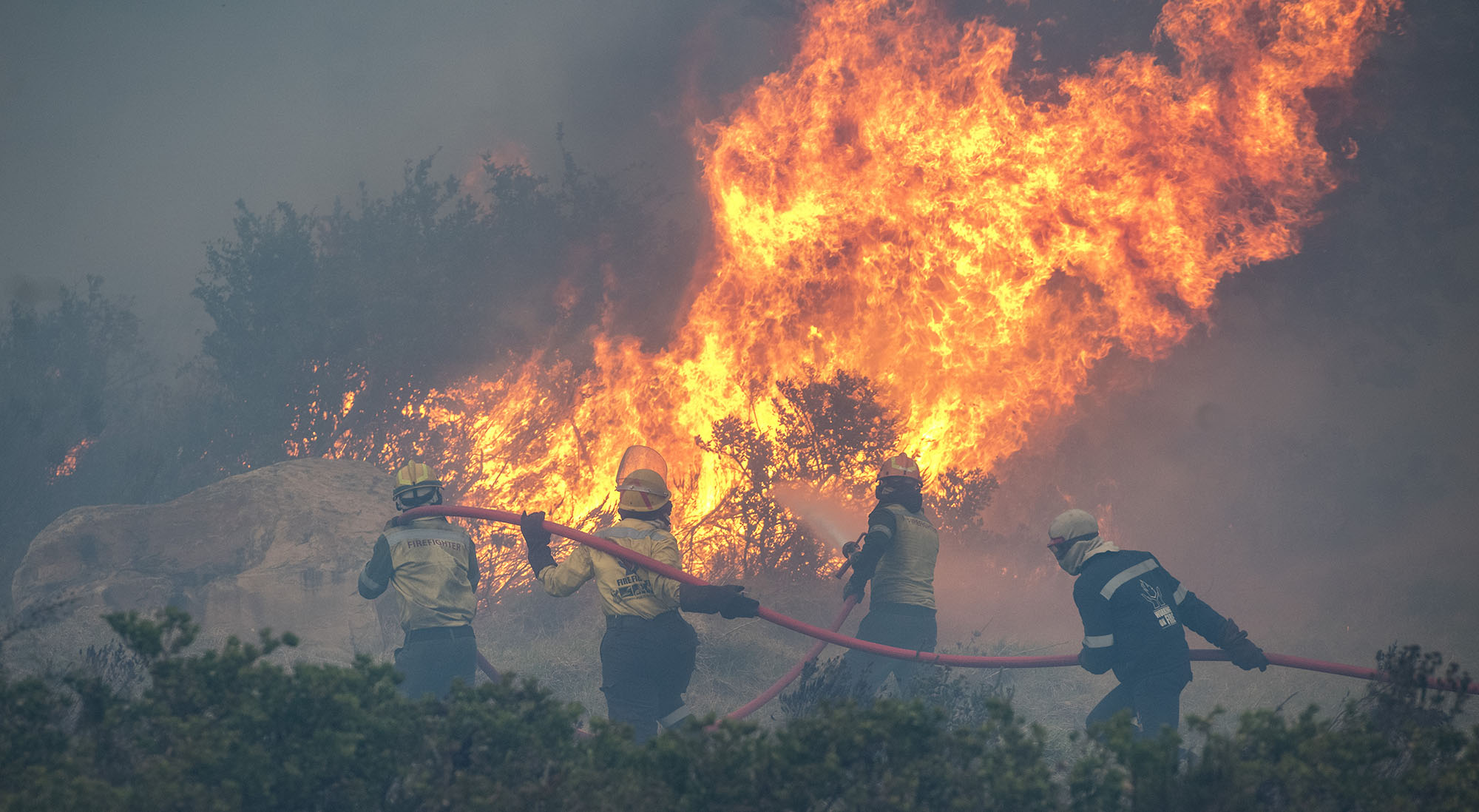 Table Mountain fire that gutted UCT library a ‘malicious act’, investigation finds