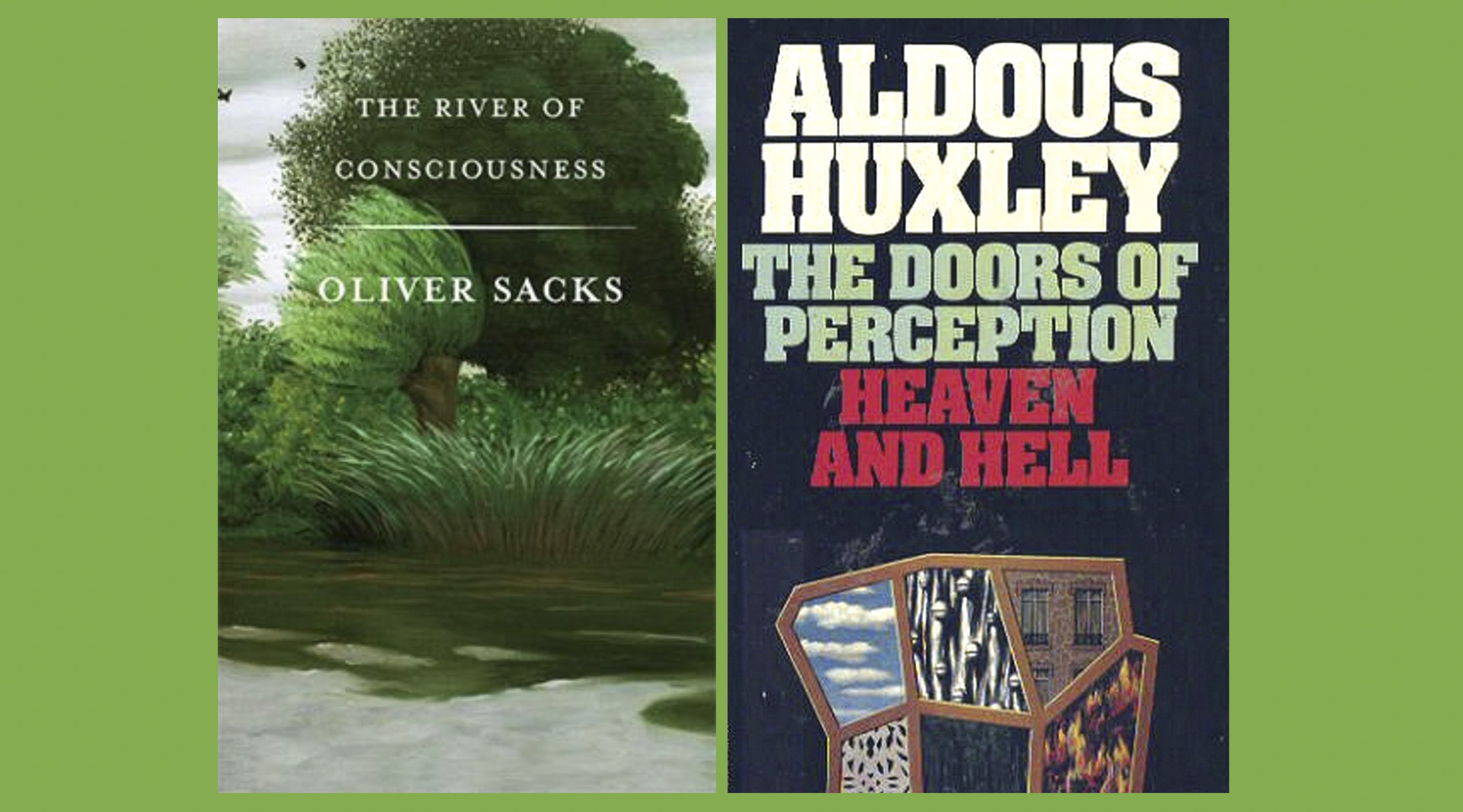 Finding one’s place in the present