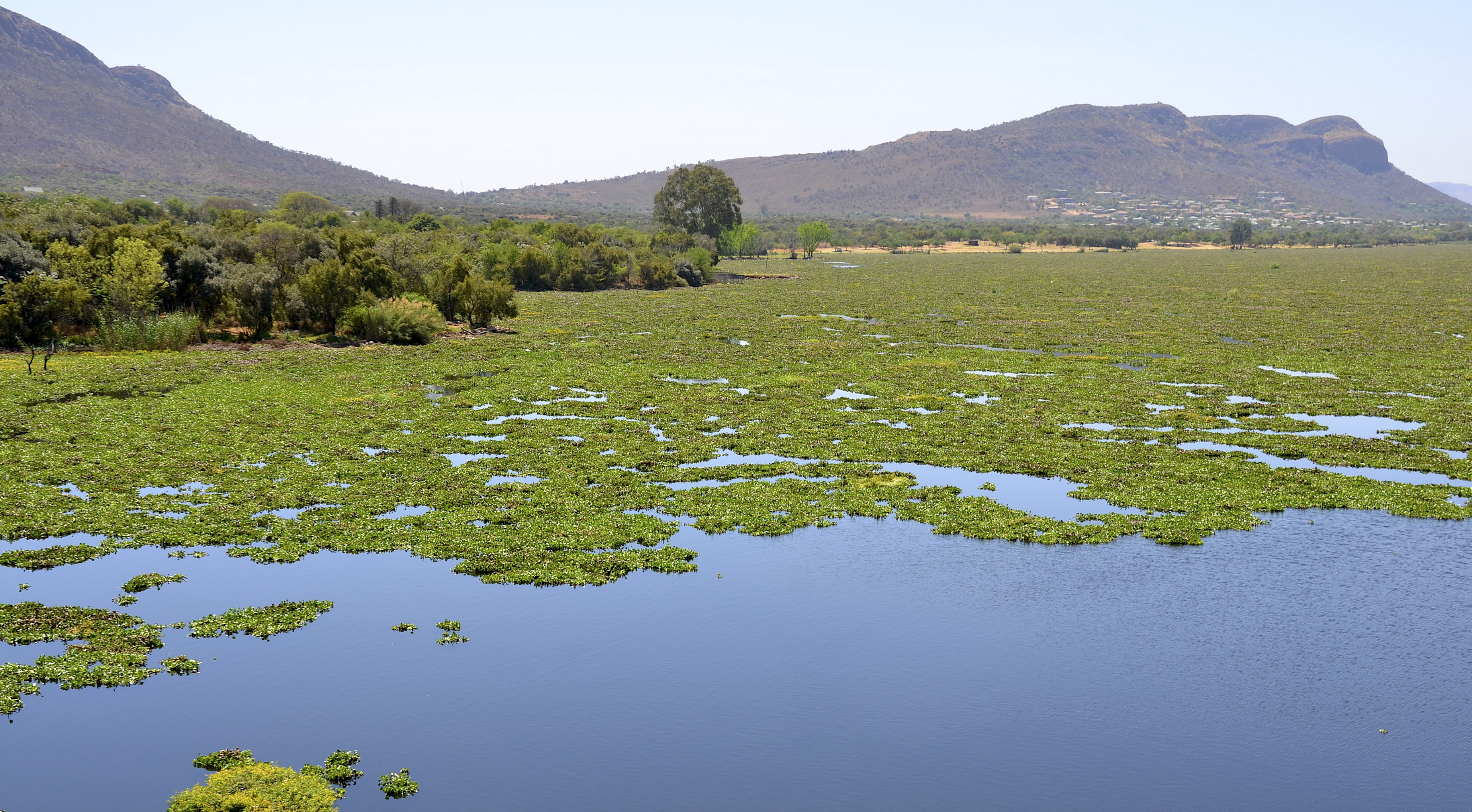 What do the Manhattan Project, your frying pan, and the Hartbeespoort Dam have in common? The answer is PFAS (Part One)