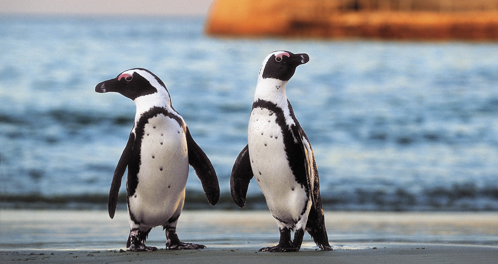 New efforts to protect us from 'forever chemicals' won't work unless the companies that use and produce them come forward (Part Four)