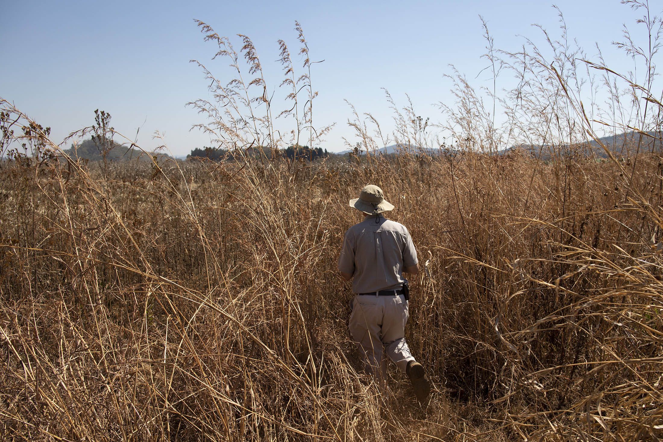 Two Decades After Land Grab, Zimbabwe Starts Paying Farmers