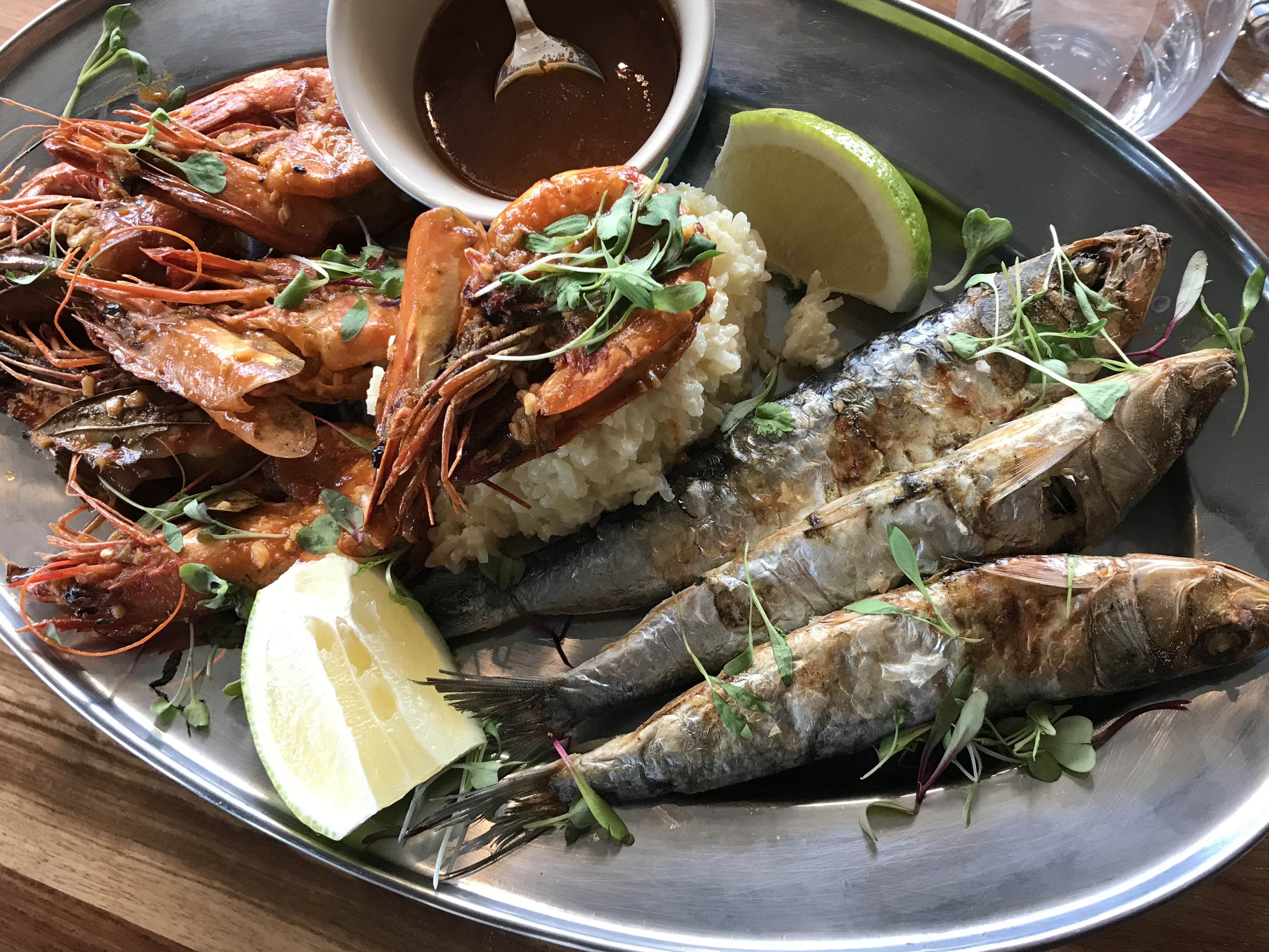 A sleek new phase for Forti at Forti Too