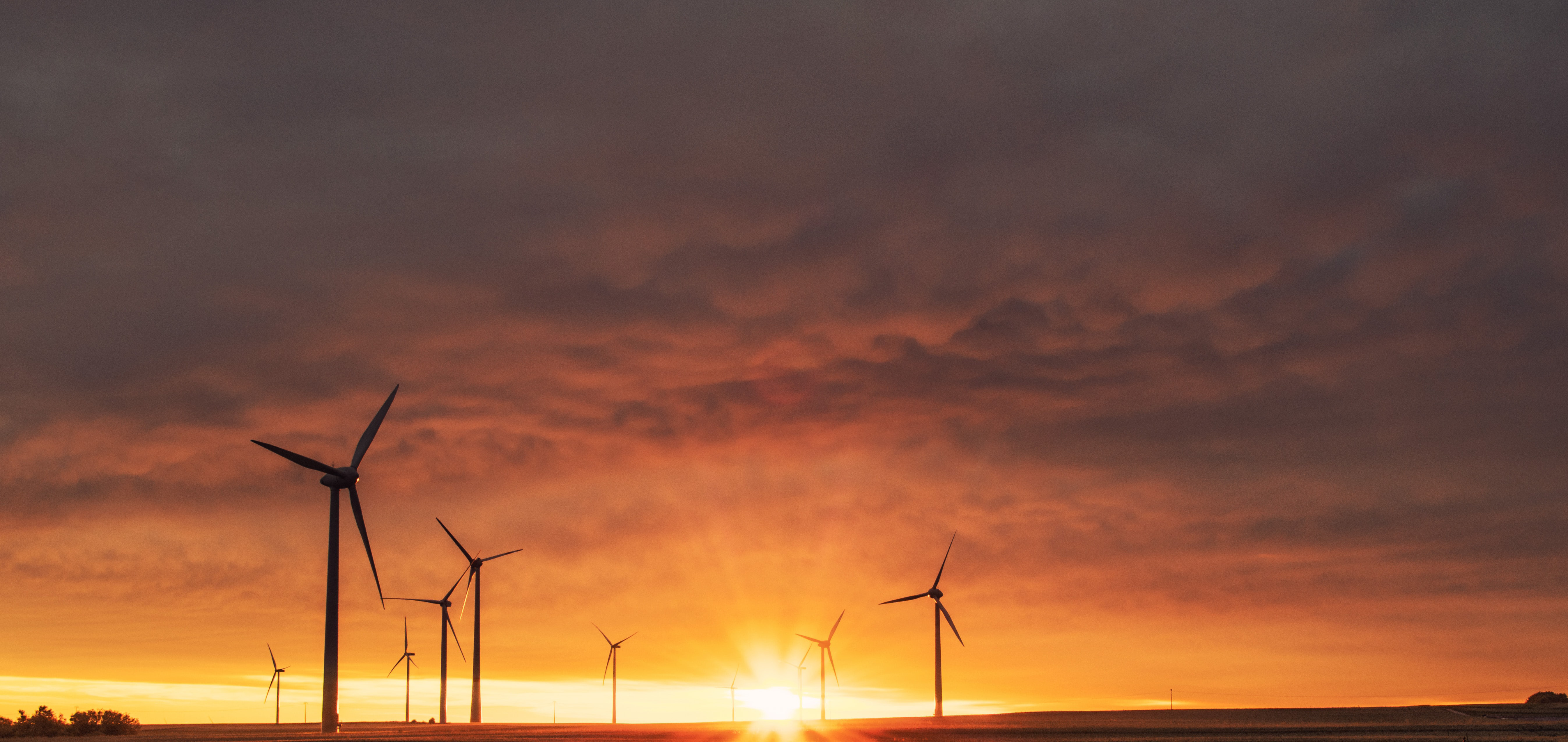 Mitigating the Climate Crisis and Driving Inclusive Growth