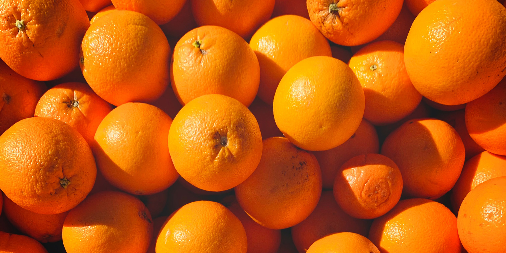 No power to the people: Tzaneen farmers and residents petition Parliament to sort out electricity crisis