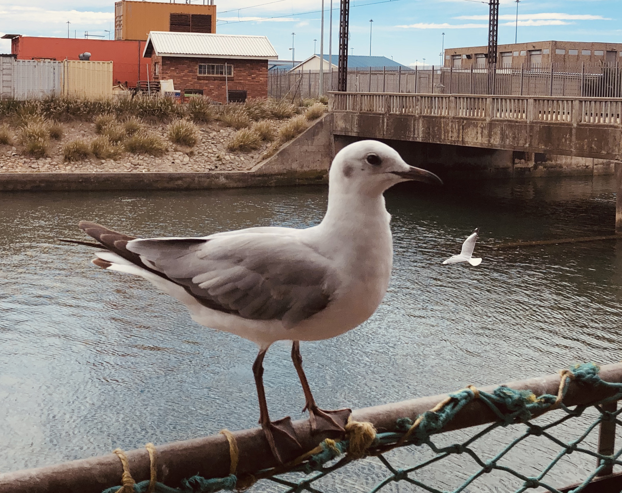 Bounty & Bile: Tucking in to Neptune’s Catch, so near but so far away