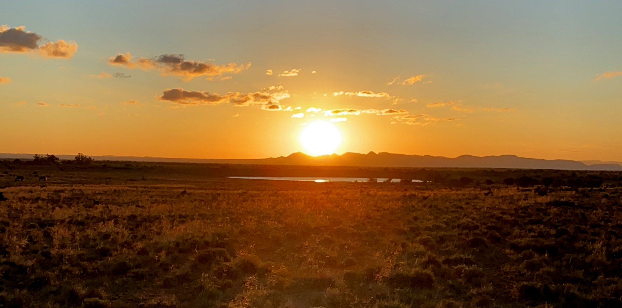 A Rough Guide to saving South Africa