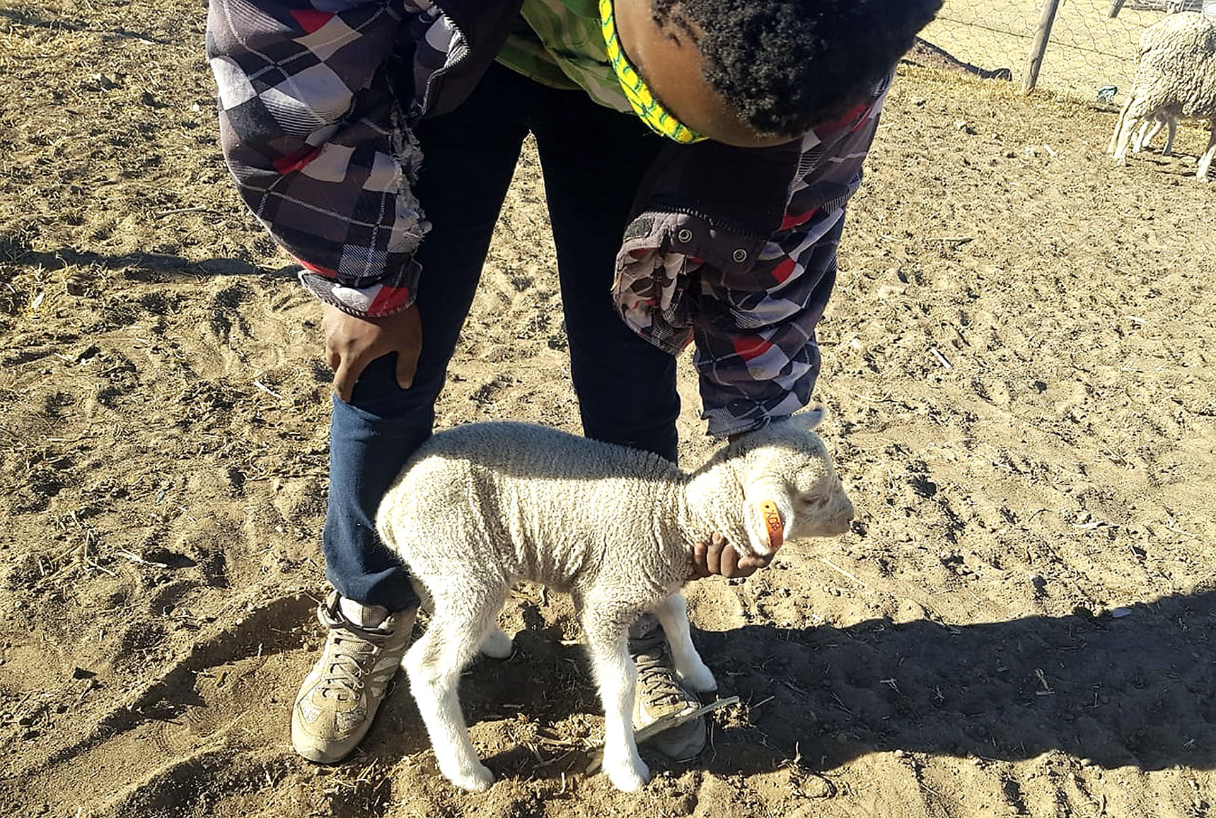 Dry run for disaster: Small-scale farmers battle for survival in drought-crippled rural Eastern Cape