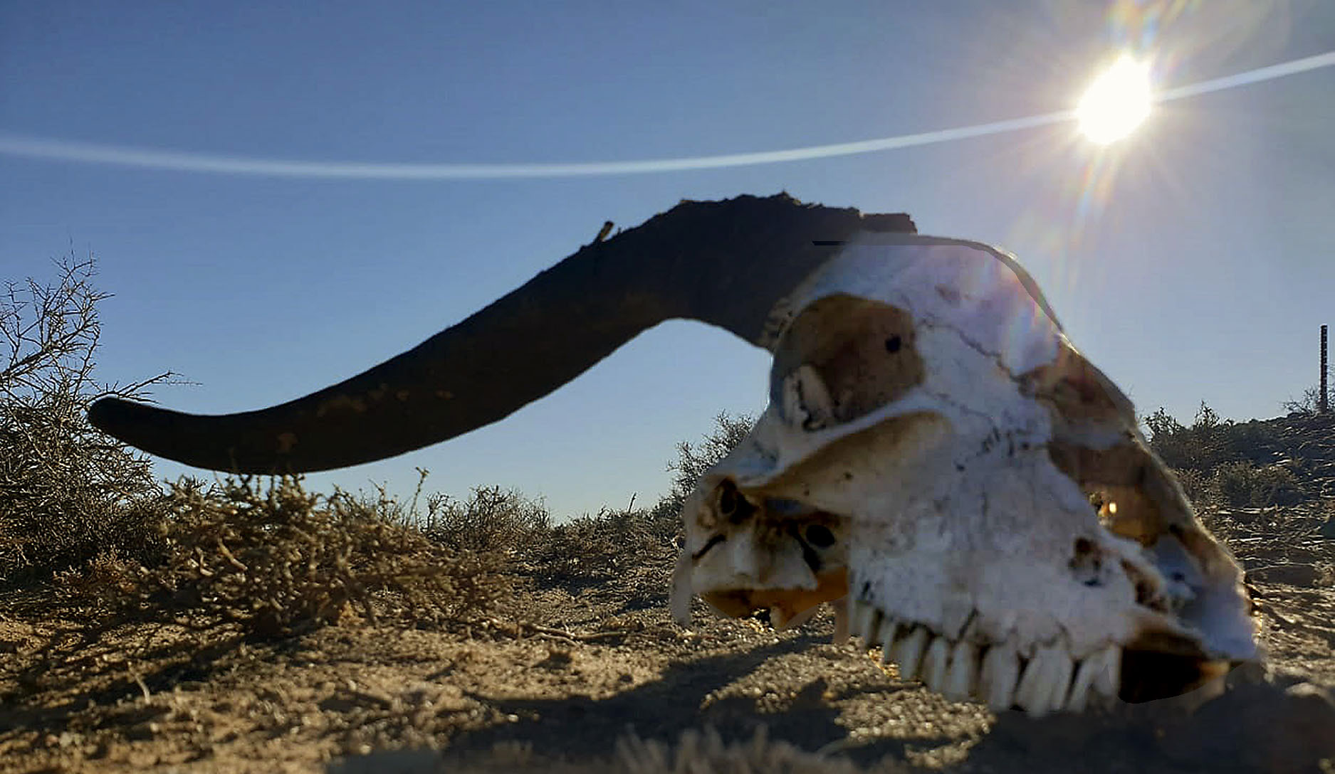 Worst in 100 years: Drought in all three Cape provinces declared a national disaster