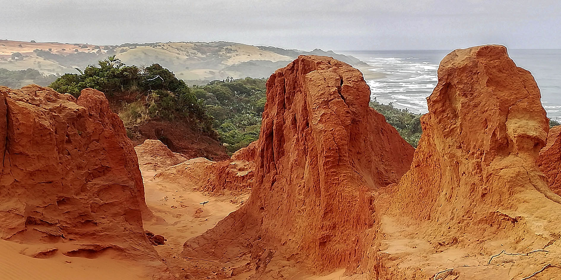How to keep a movement alive: Lessons from 14 years of sustained activism in Xolobeni on the Wild Coast