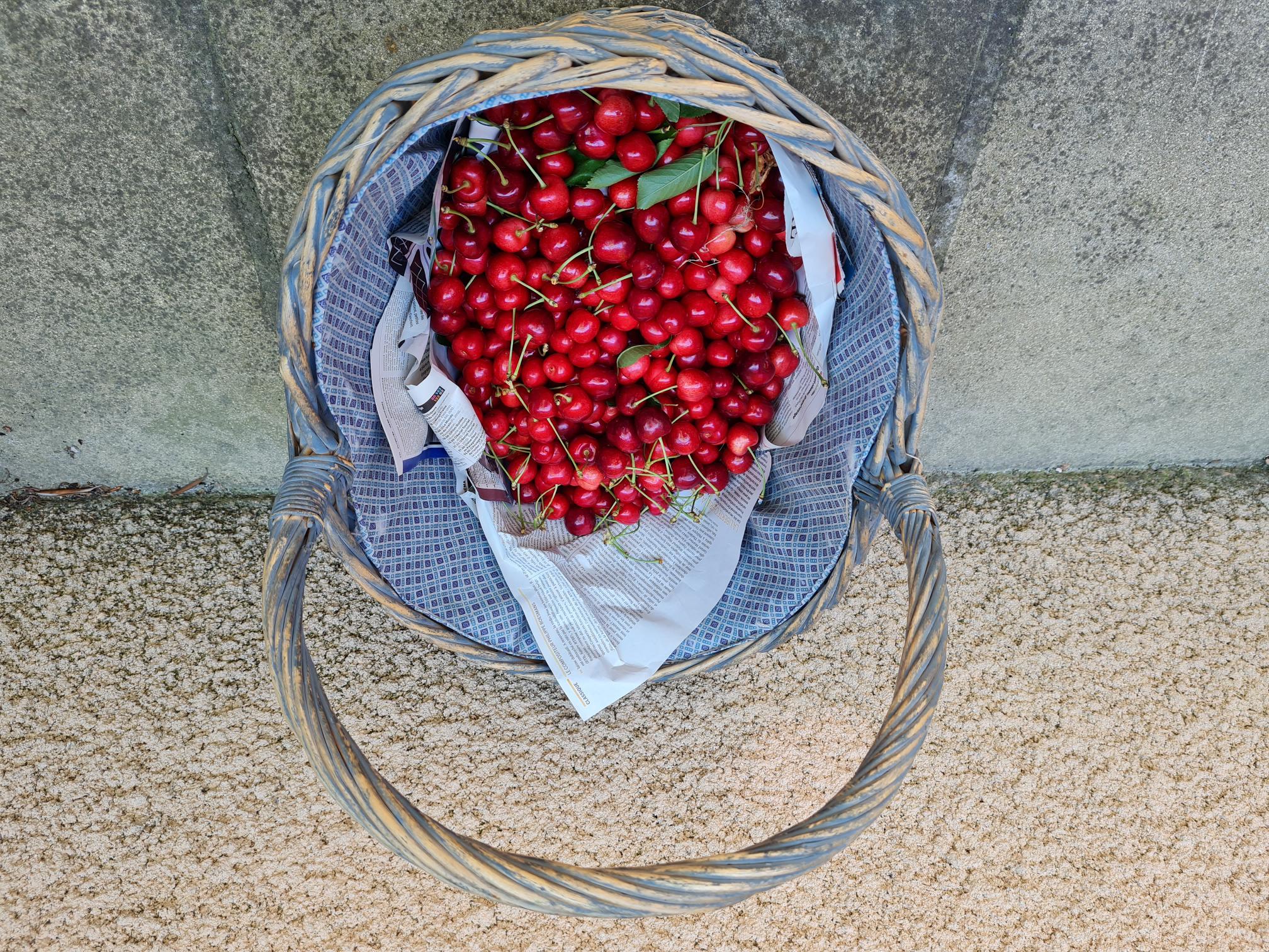 Life is a bowl of cherries