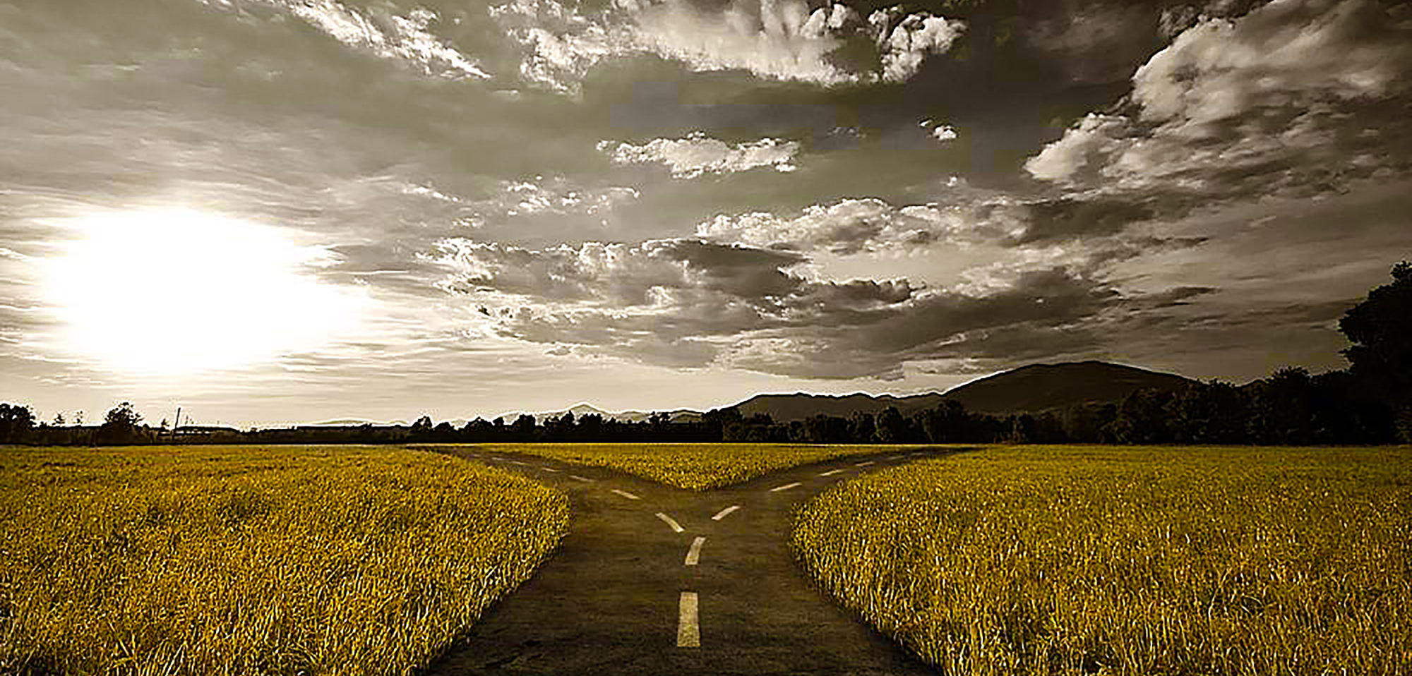 The ANC’s fork-in-the-road moment