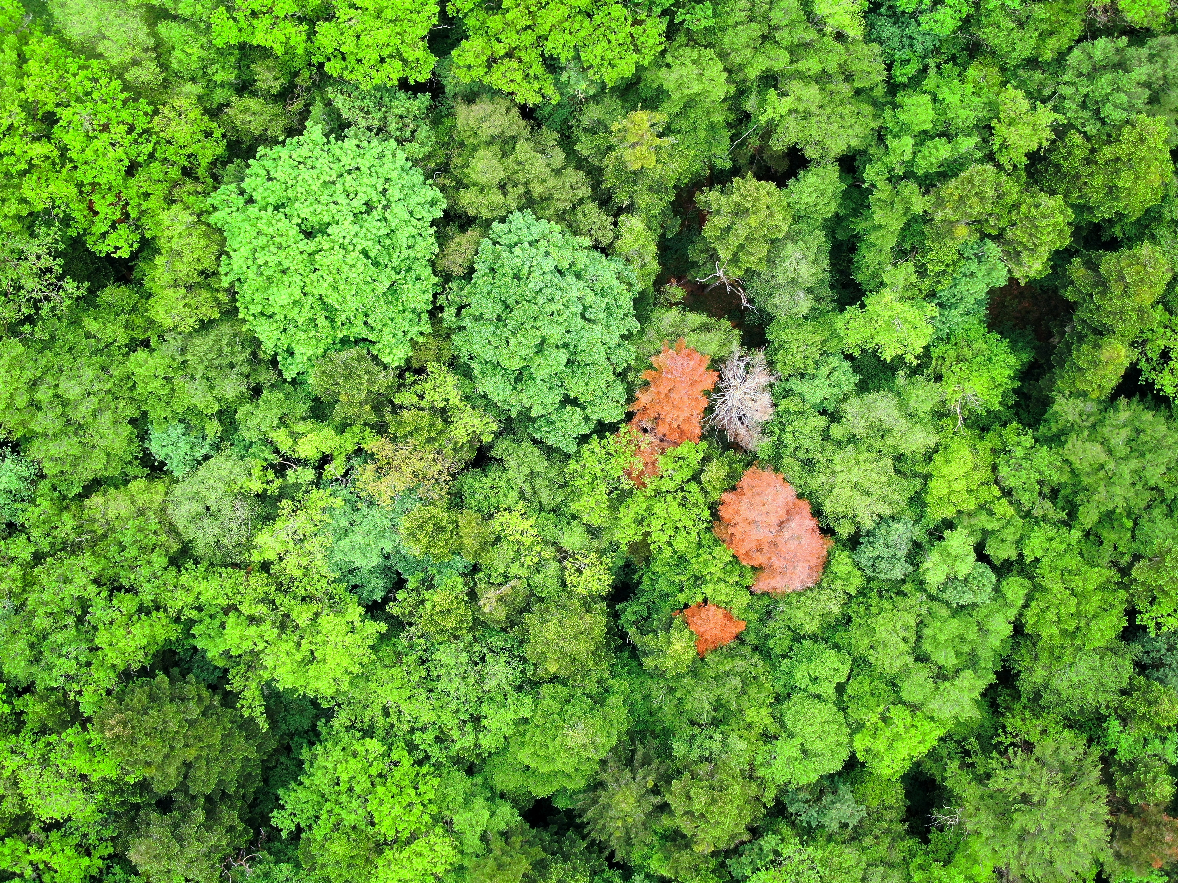 nathan-queloz-jjnvL8dALYQ-unsplash