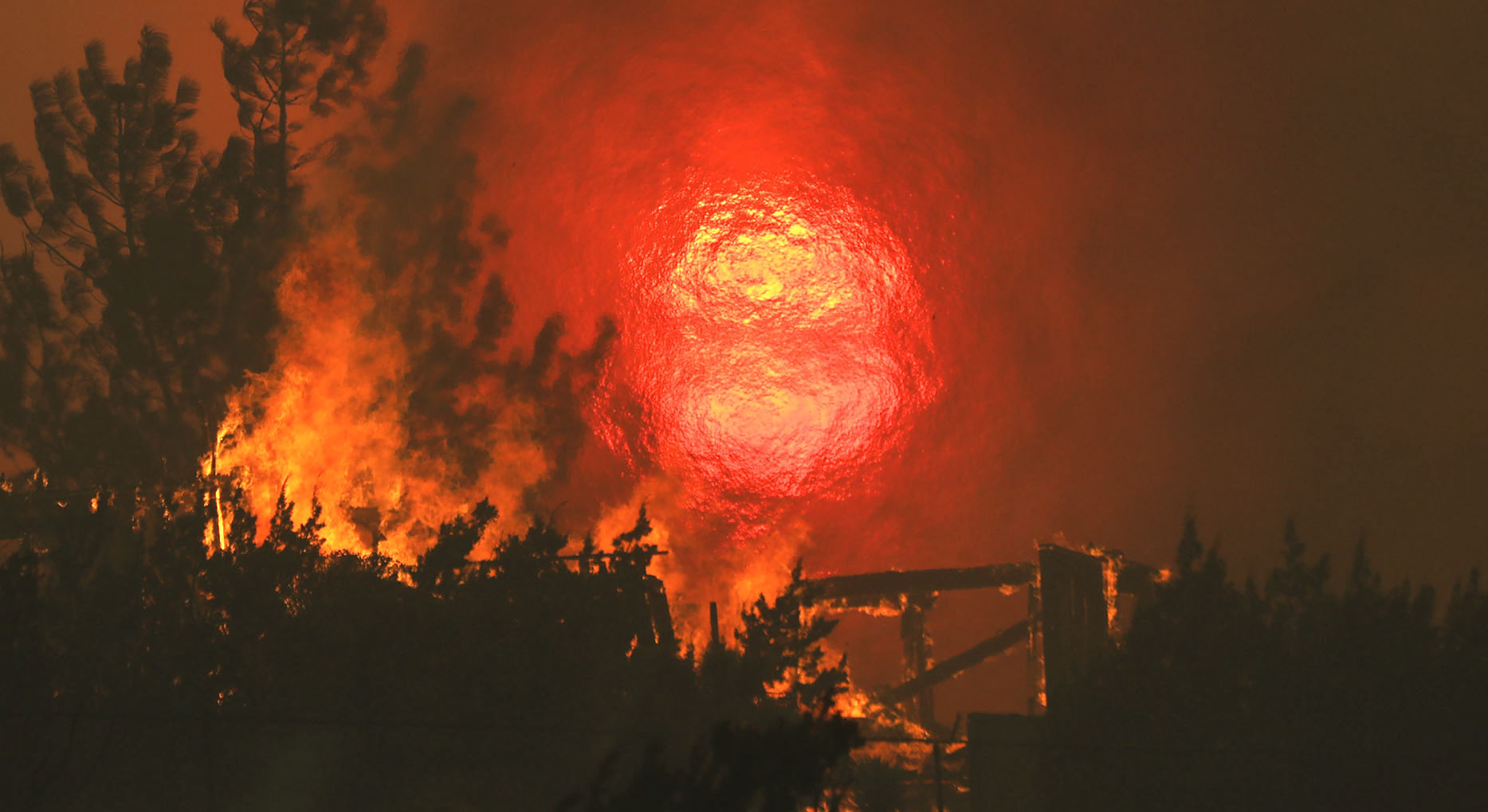 Climate emergency: Do it for your children