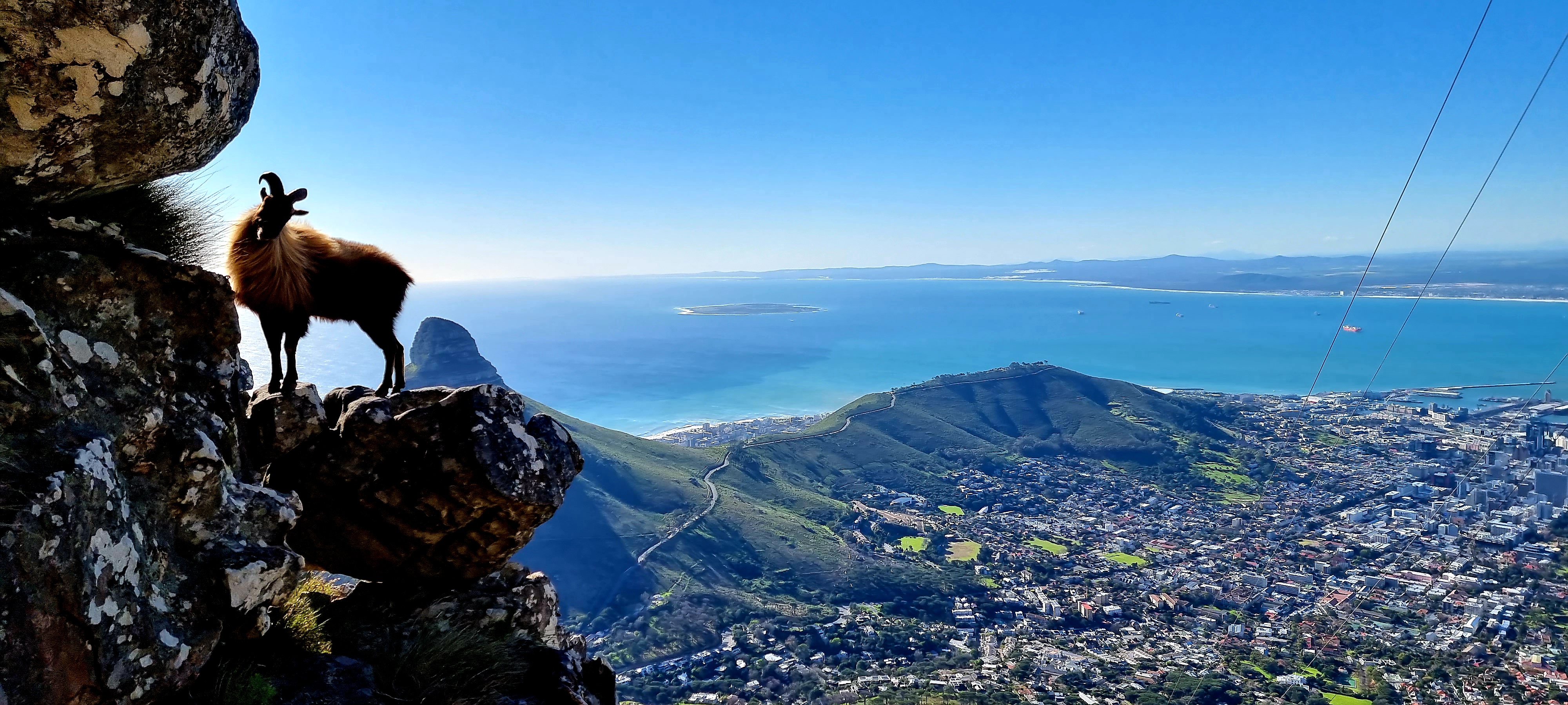 The Gentle Mountain Warrior: my brother died whilst climbing Table Mountain