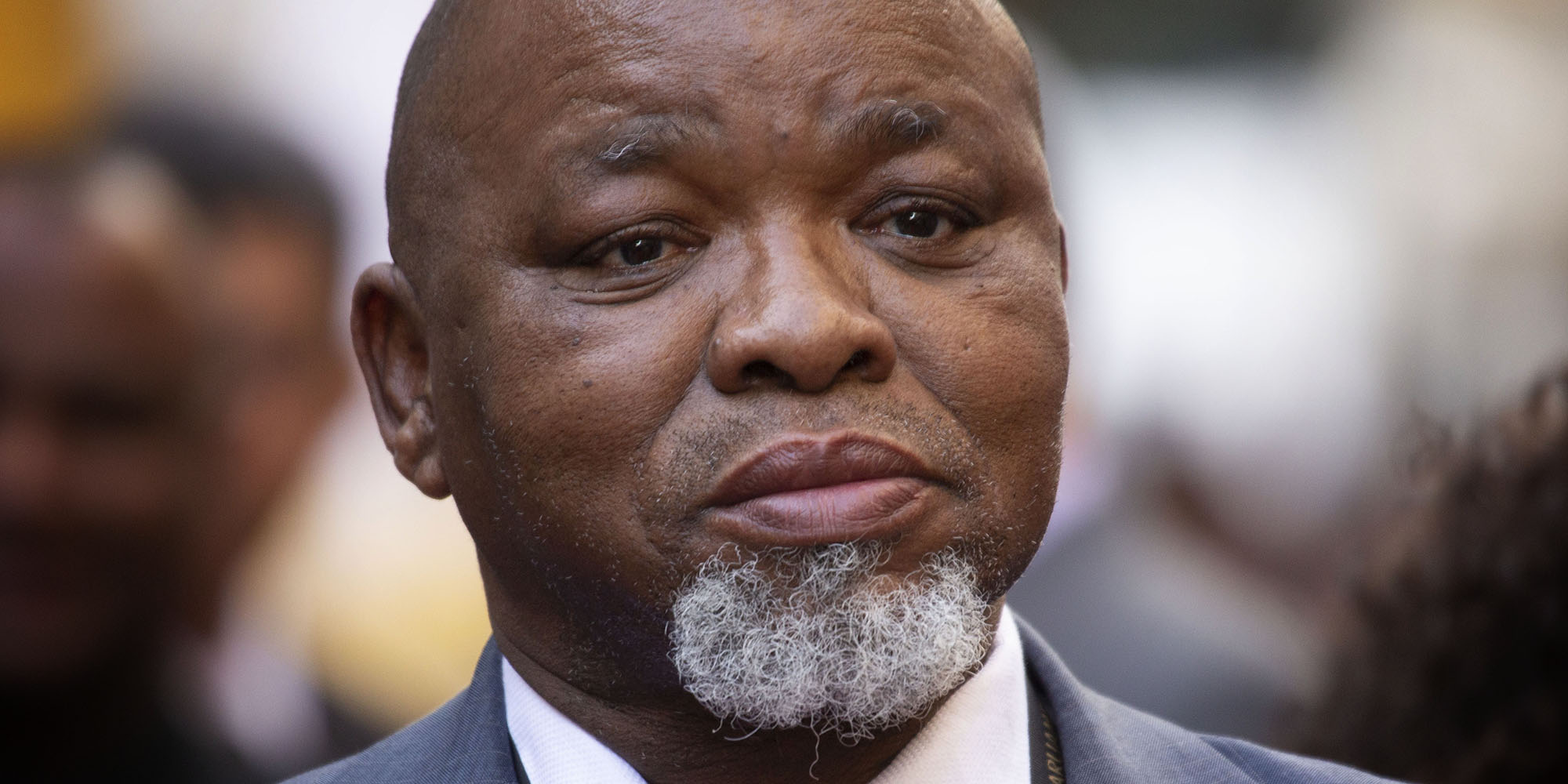 Gwede Mantashe carries a big contender for a national symbol in front of him