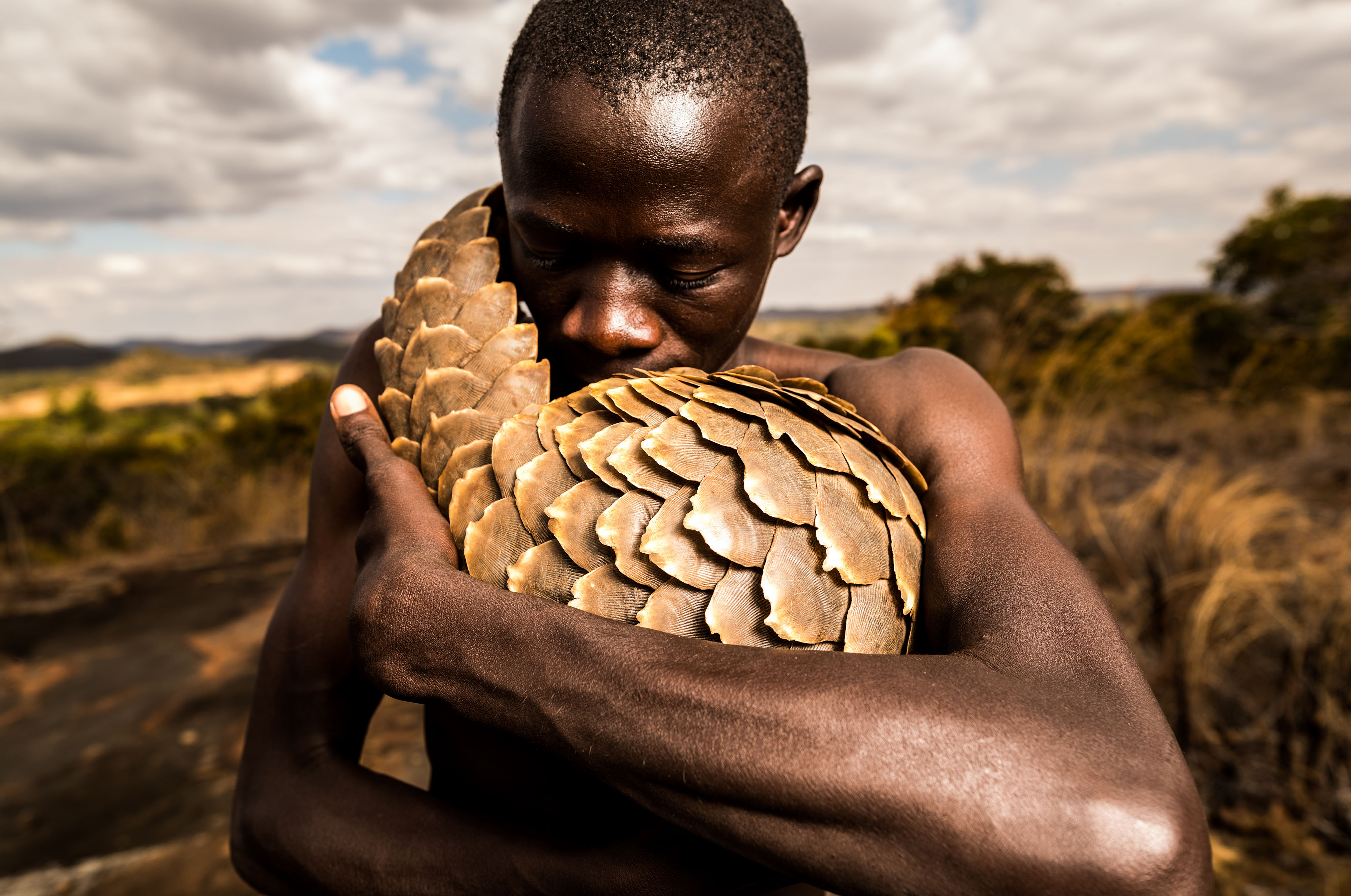Pangolin Tikki Hywood Foundation Photo:Adrian Steirn