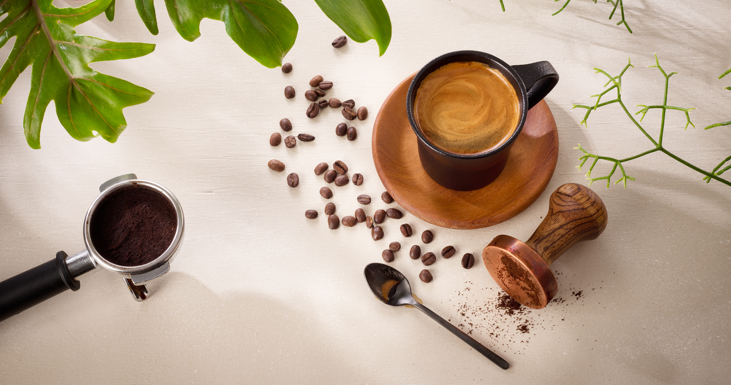 Coffee Credentials Bean Boss_ES