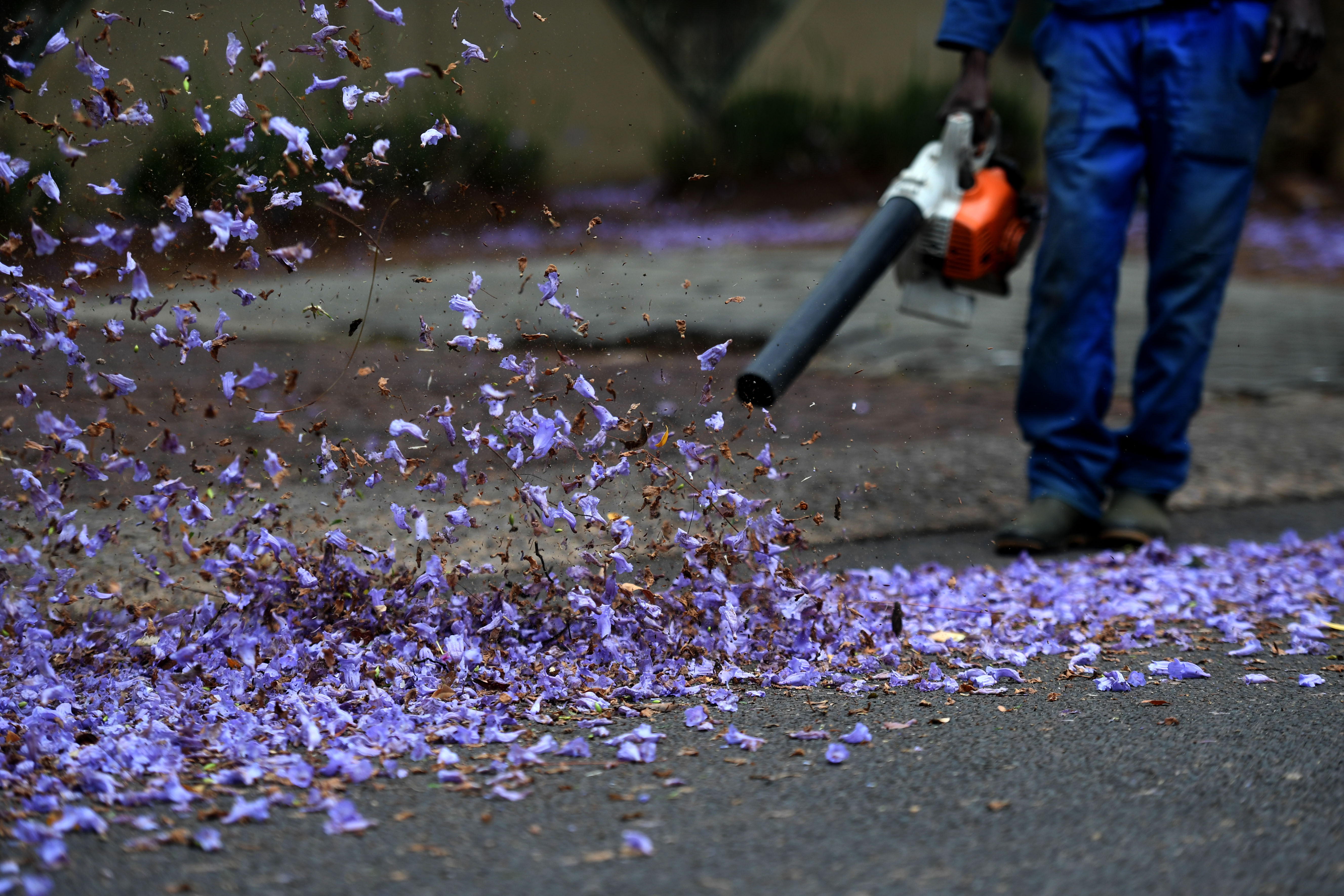 Household gardeners in South Africa: A survivalist life with little protection