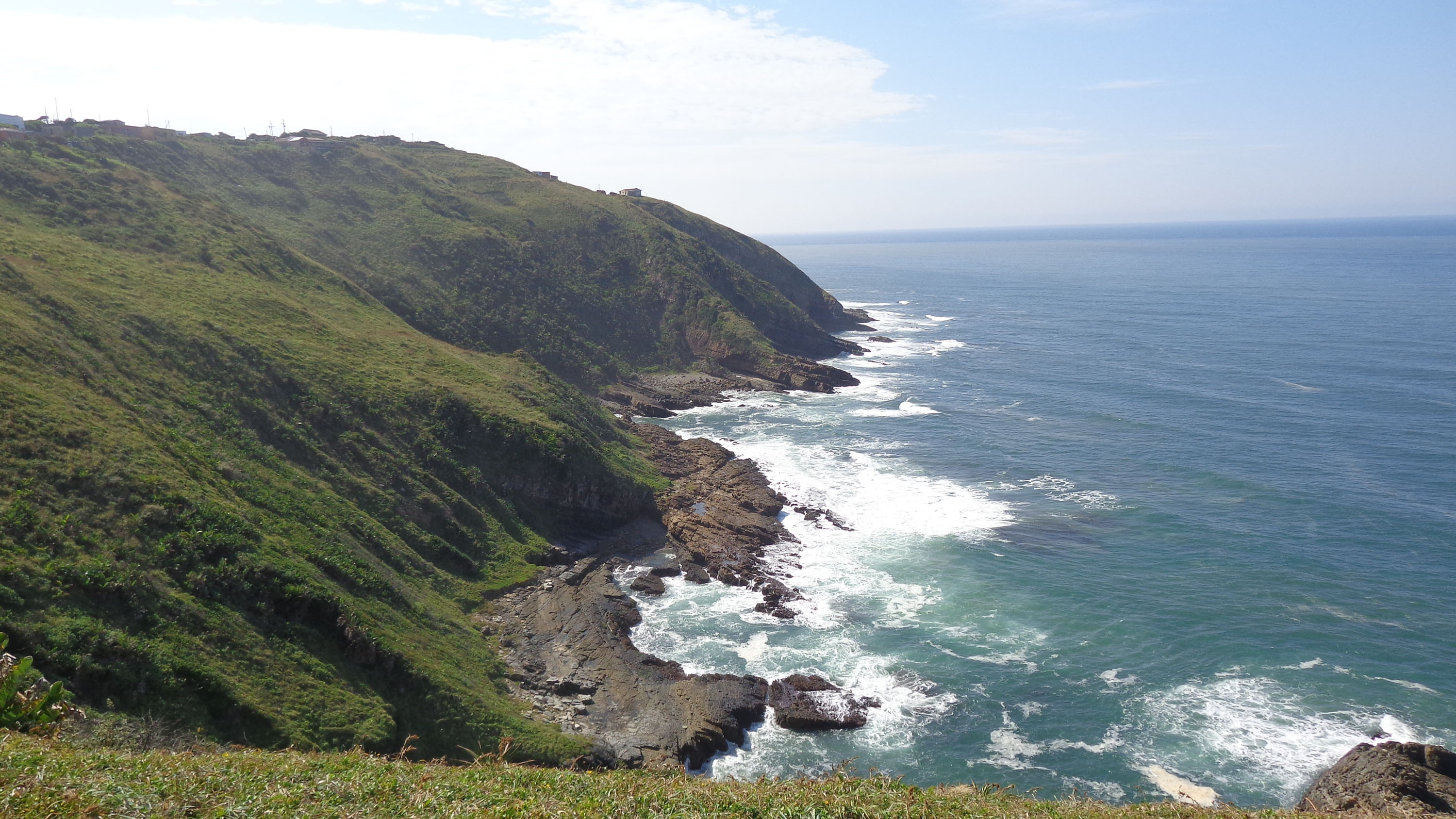 Activists petition to stop Shell’s planned seismic survey in seas off Eastern Cape